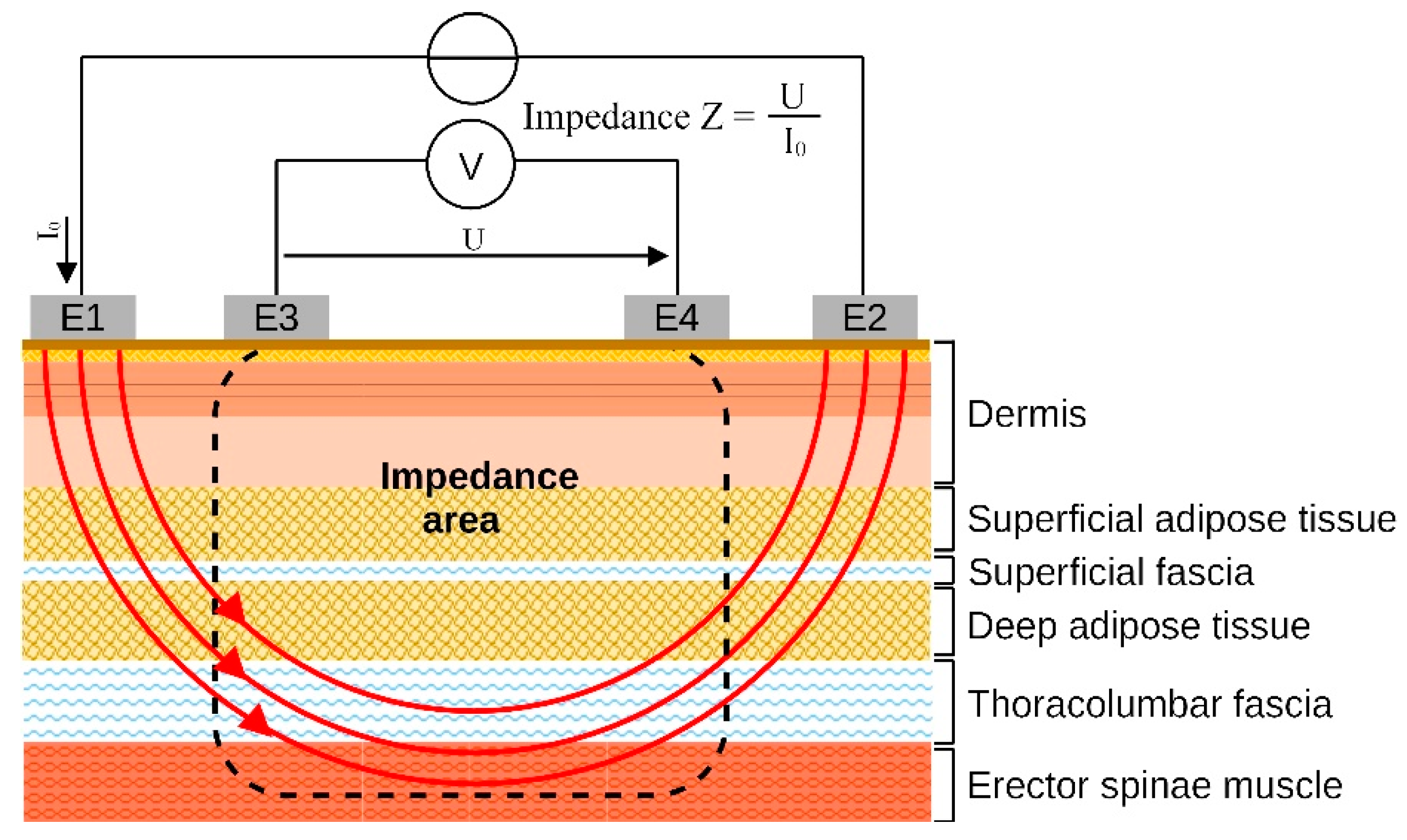 Jcm 12 01009 g001 Jcm 12 01009 g001