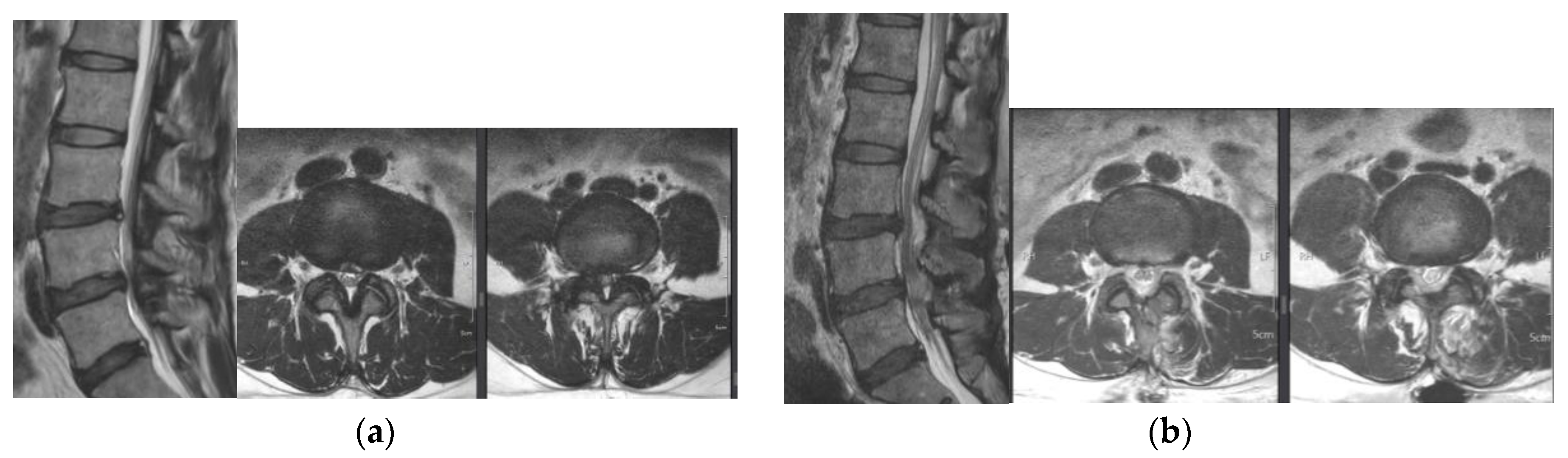 Jcm 12 01033 g001 Jcm 12 01033 g001