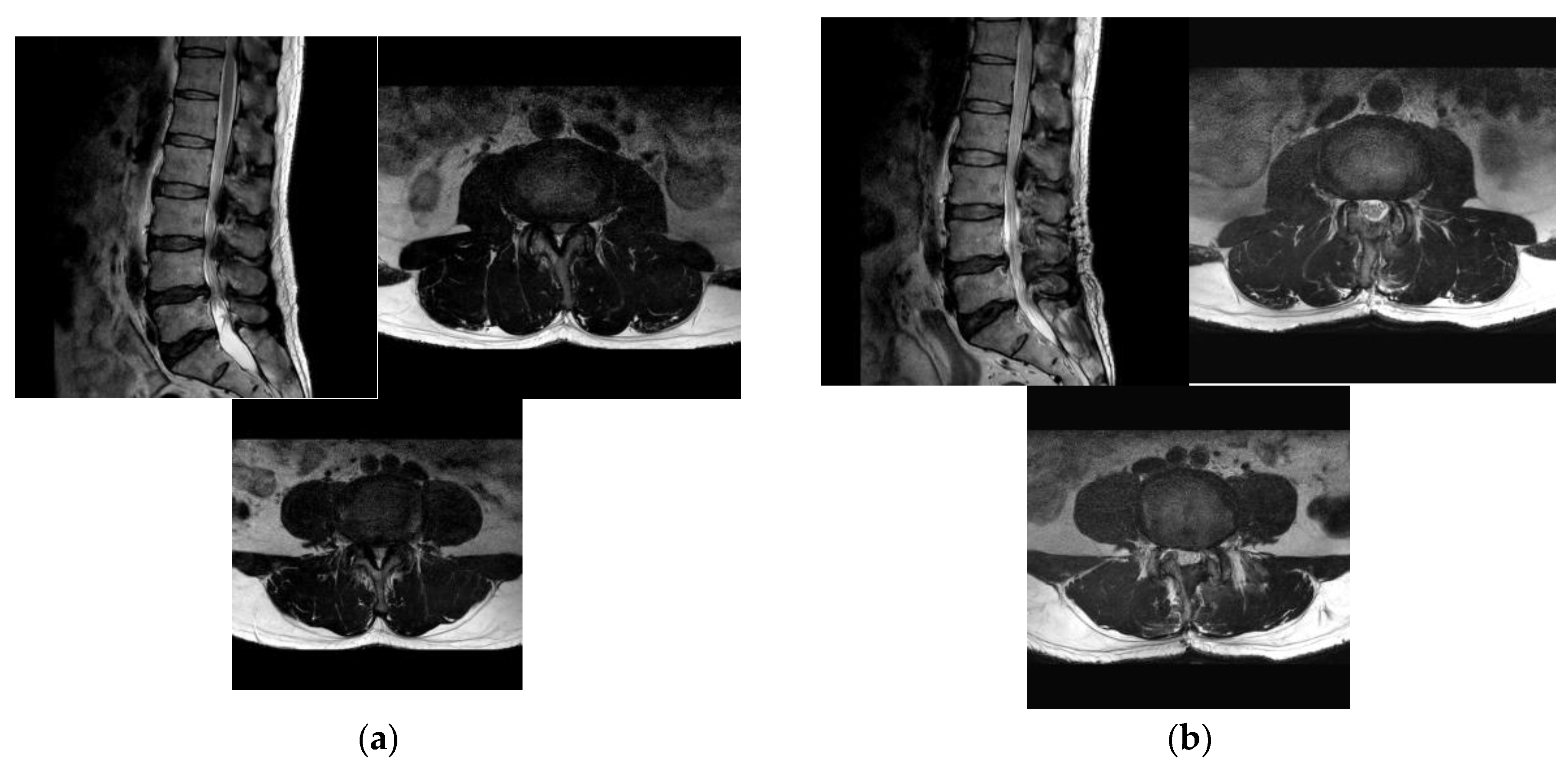 Jcm 12 01033 g002 Jcm 12 01033 g002