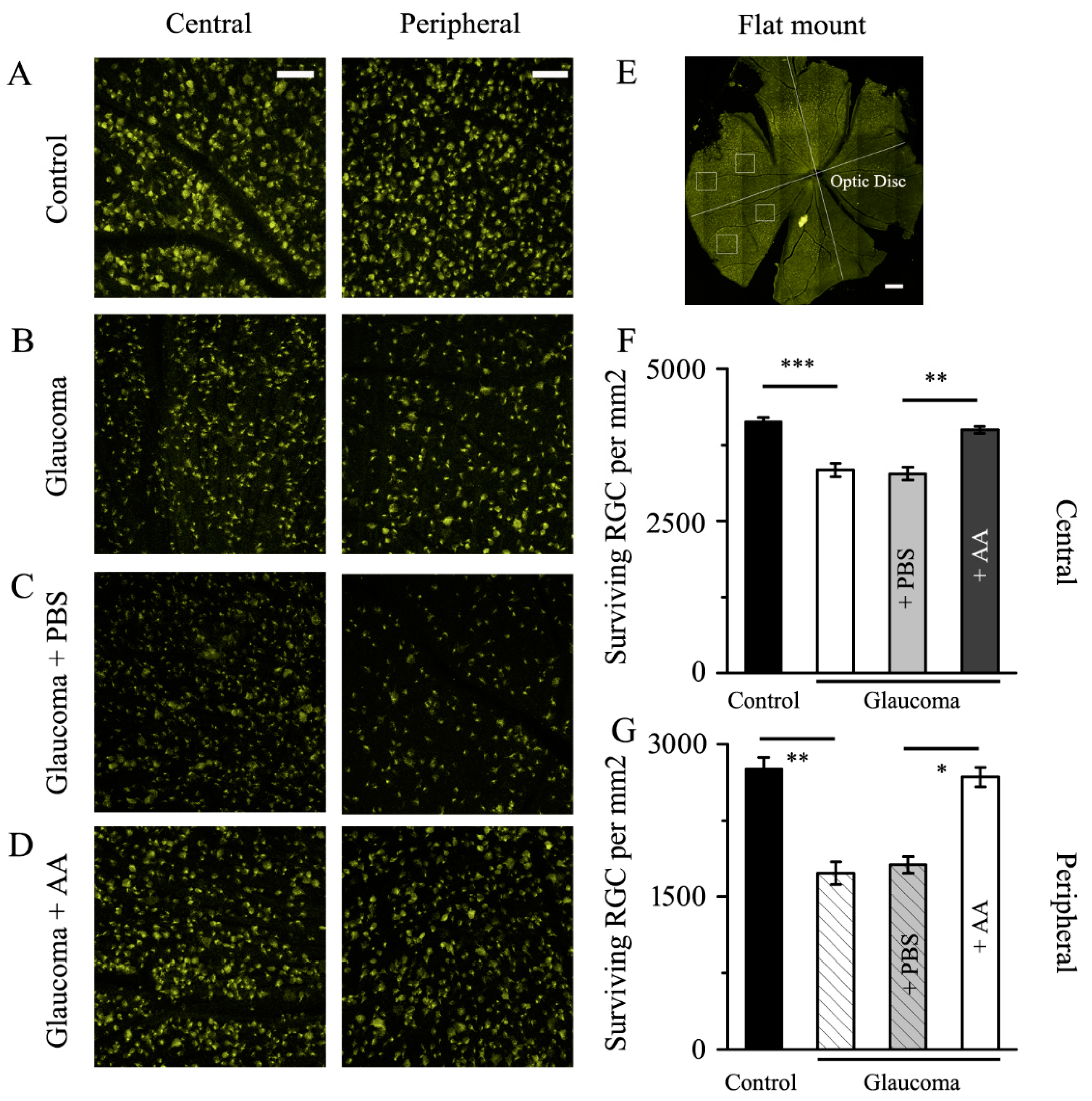 Jcm 12 01056 g001 Jcm 12 01056 g001