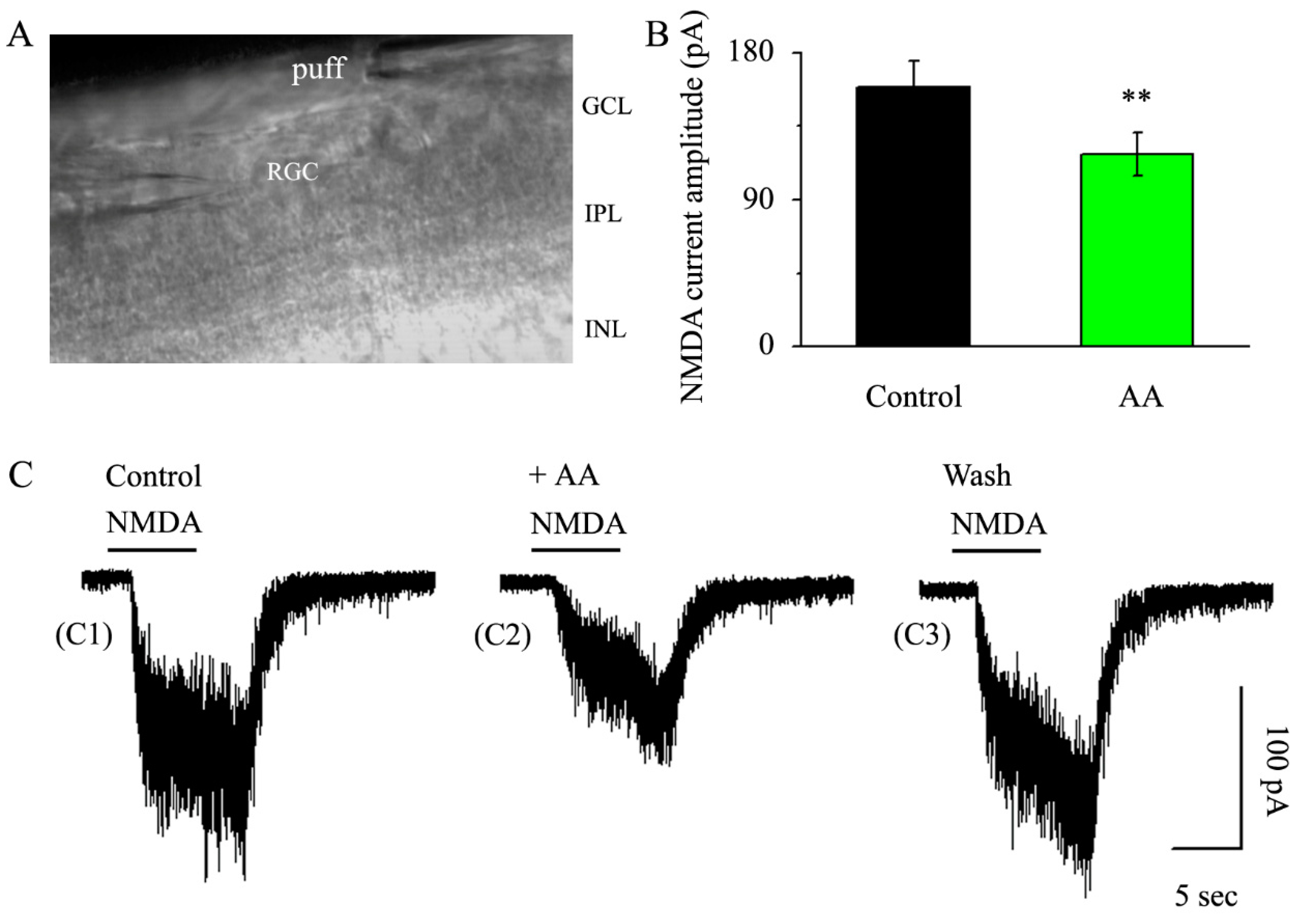 Jcm 12 01056 g003 Jcm 12 01056 g003