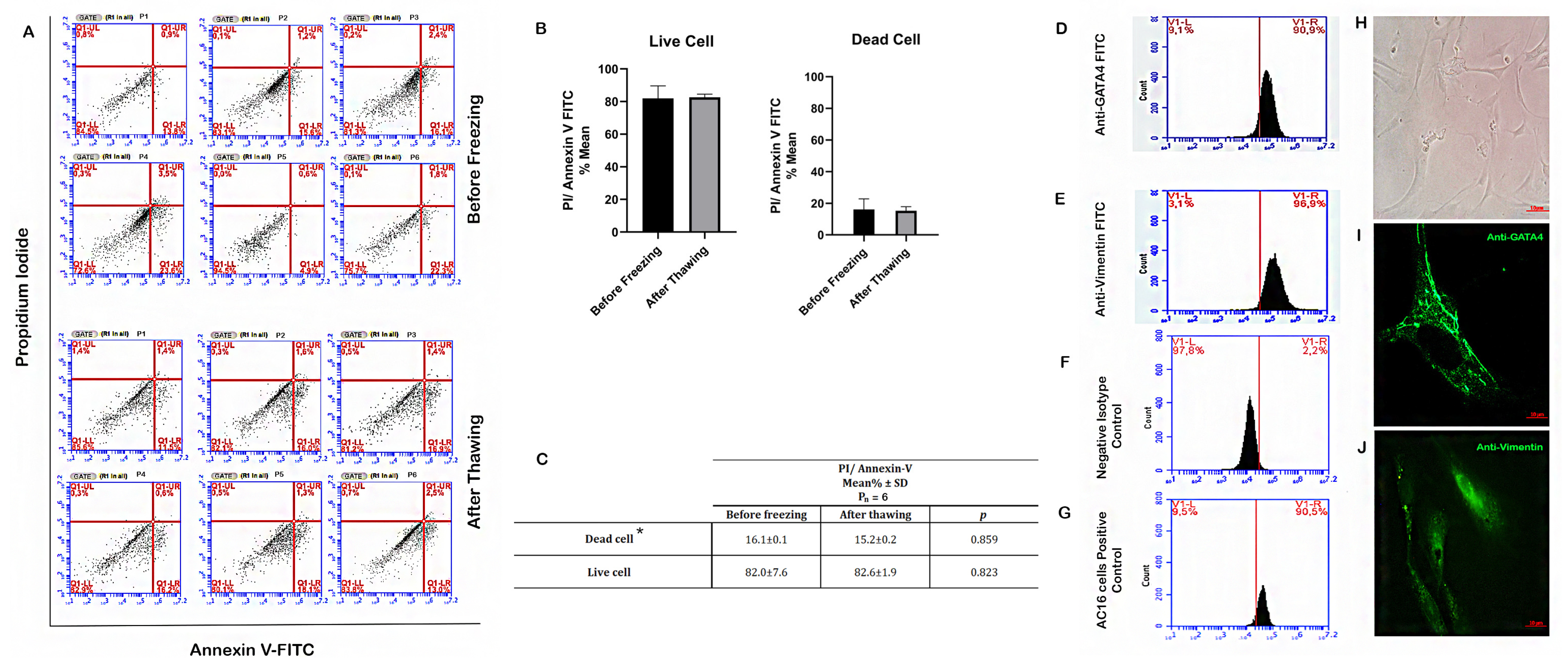 Jcm 12 01073 g001 Jcm 12 01073 g001