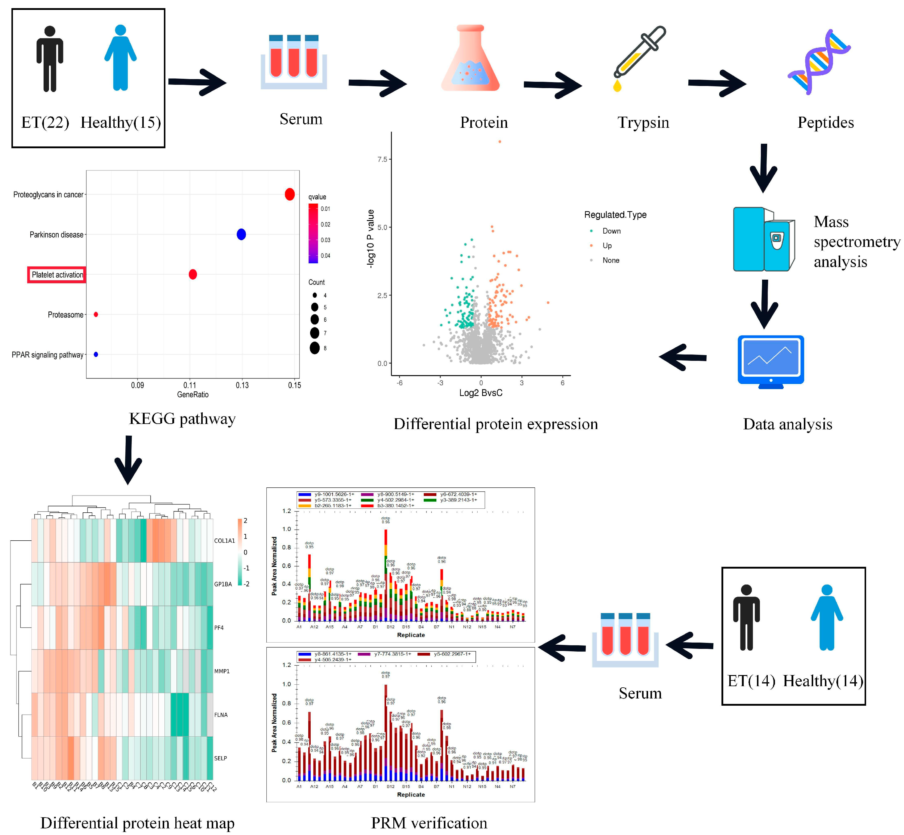 Jcm 12 01078 g001 Jcm 12 01078 g001
