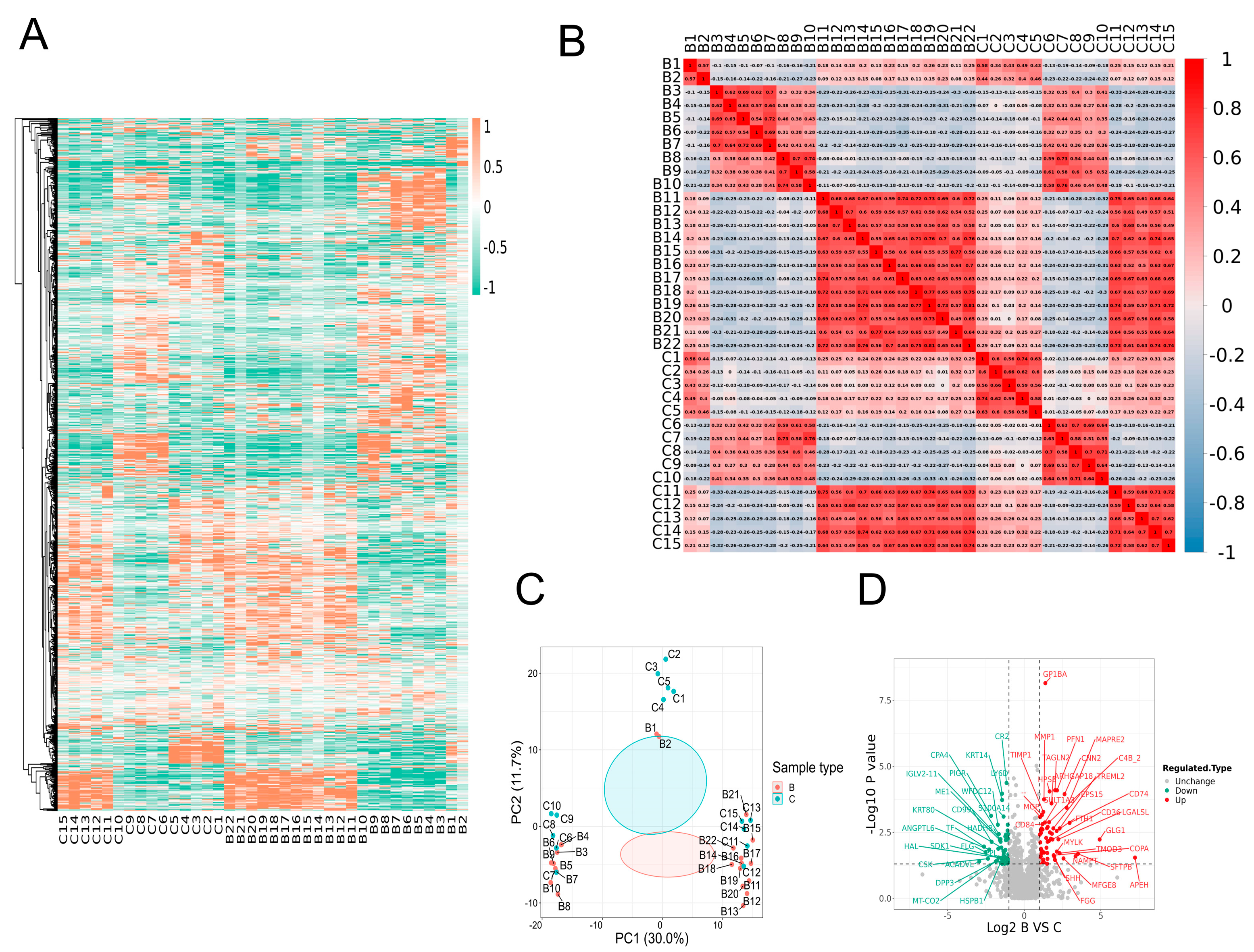 Jcm 12 01078 g002 Jcm 12 01078 g002