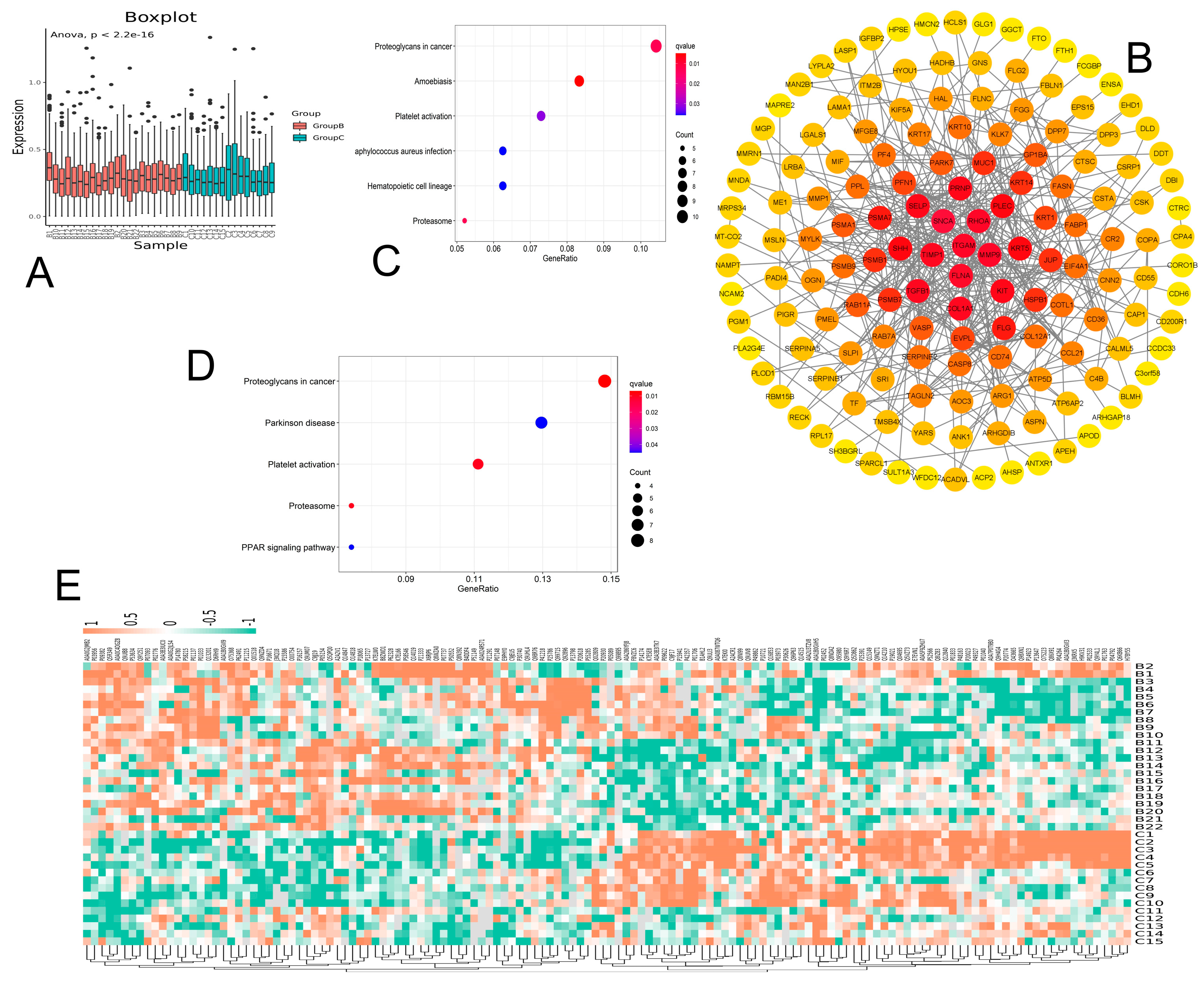 Jcm 12 01078 g003 Jcm 12 01078 g003