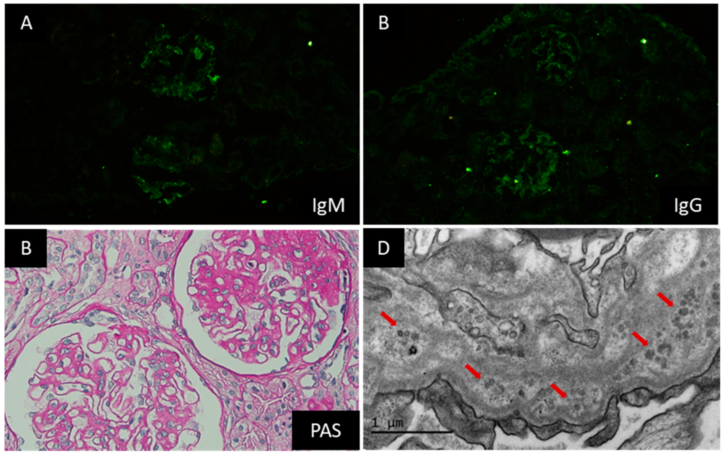 Jcm 12 01088 g001 Jcm 12 01088 g001