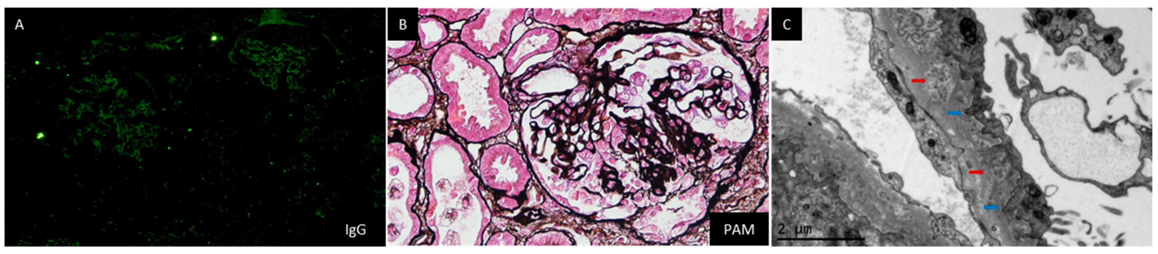 Jcm 12 01088 g002 Jcm 12 01088 g002