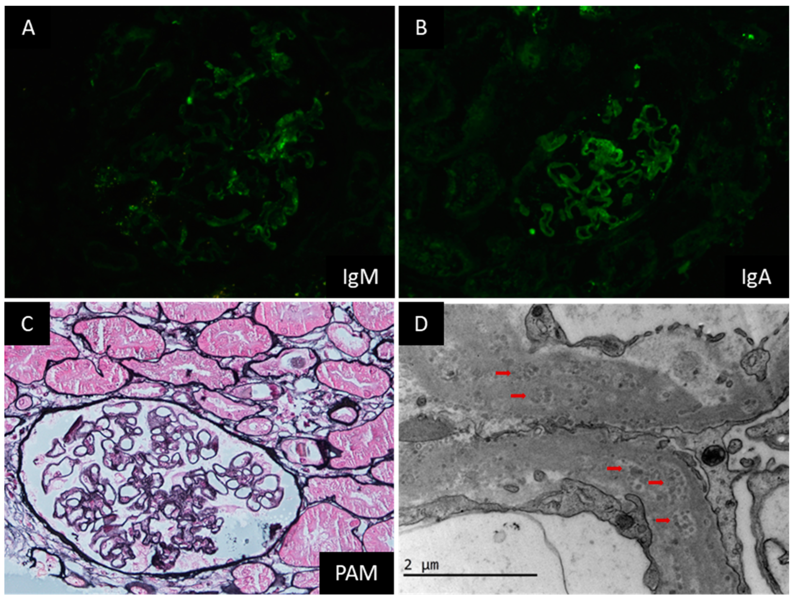 Jcm 12 01088 g003 Jcm 12 01088 g003