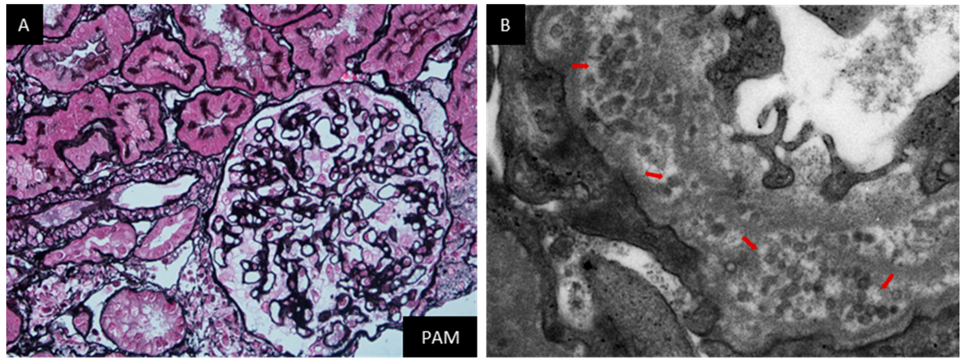Jcm 12 01088 g004 Jcm 12 01088 g004