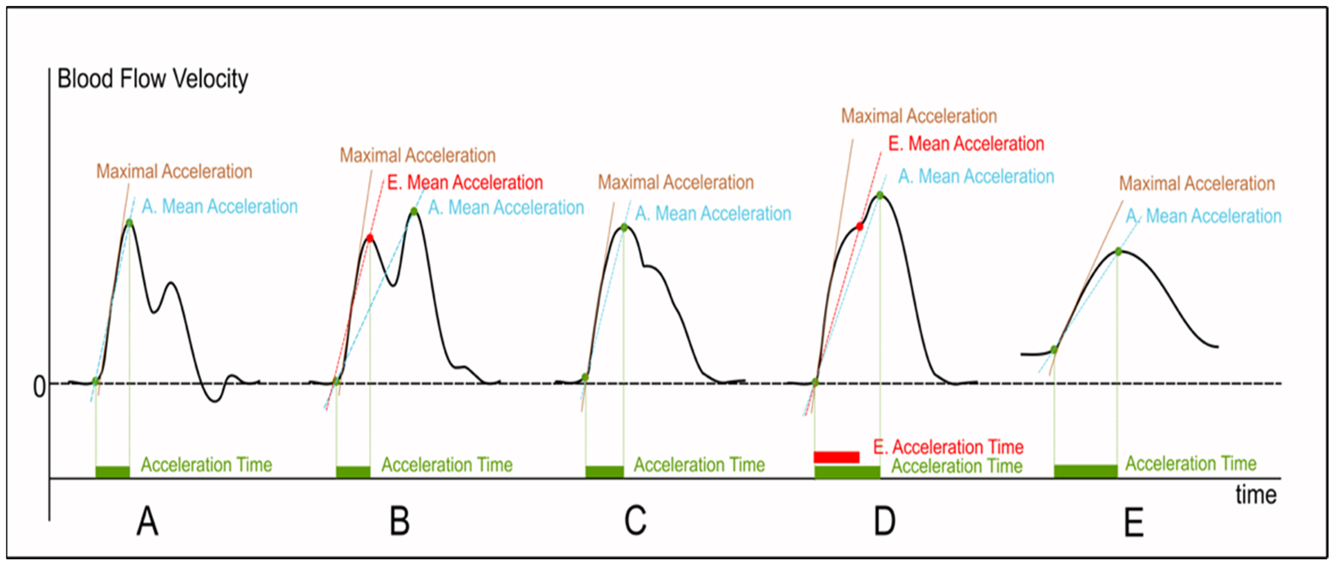 The average radial artery blood flow velocity (vrad.art.mean