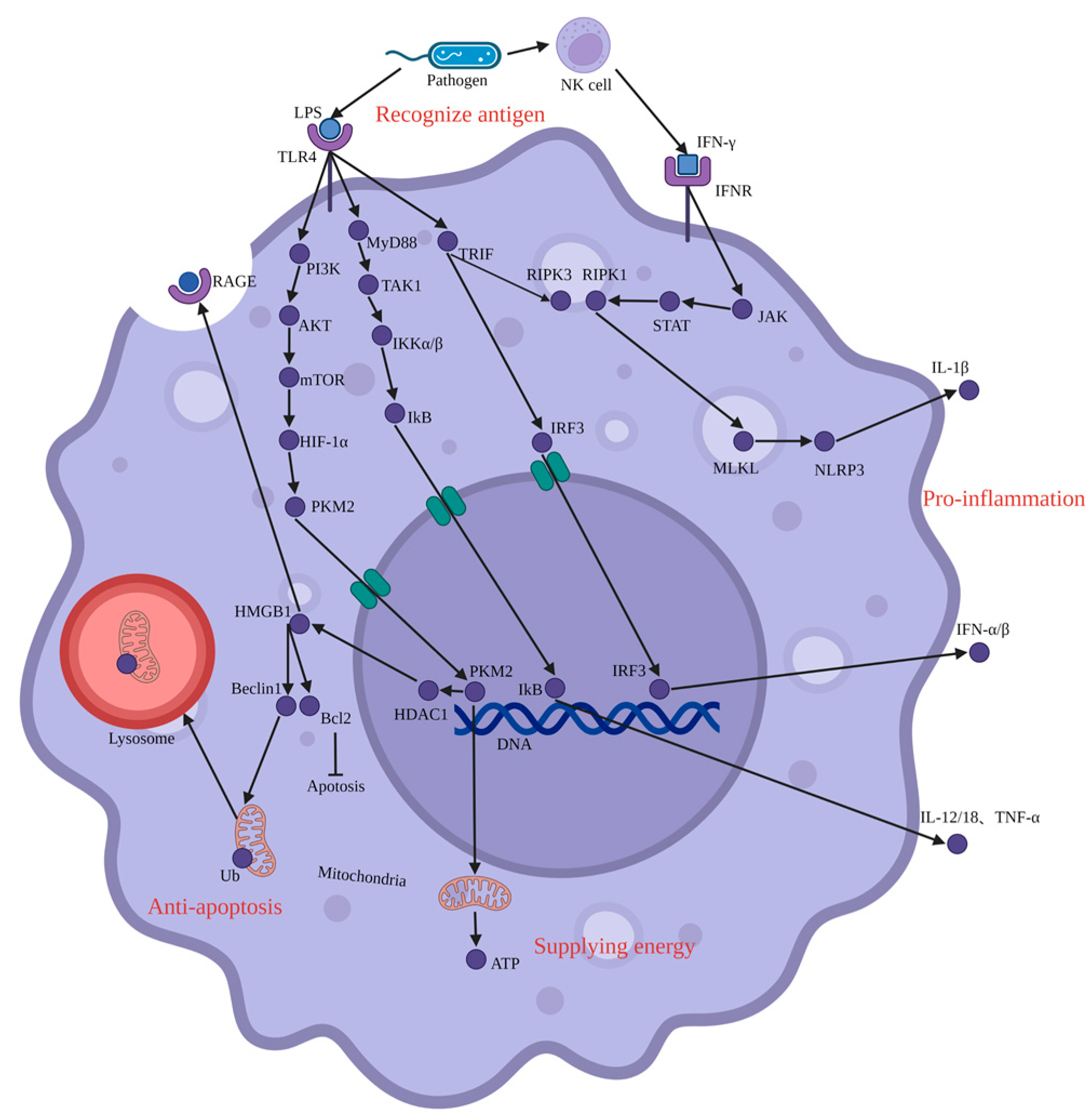Jcm 12 01101 g002 Jcm 12 01101 g002