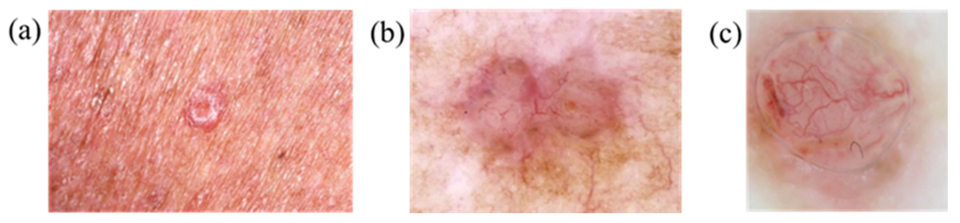 Jcm 12 01134 g002 Jcm 12 01134 g002