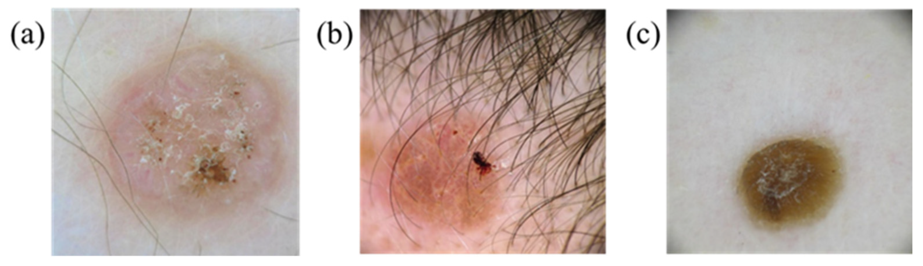 Jcm 12 01134 g004 Jcm 12 01134 g004