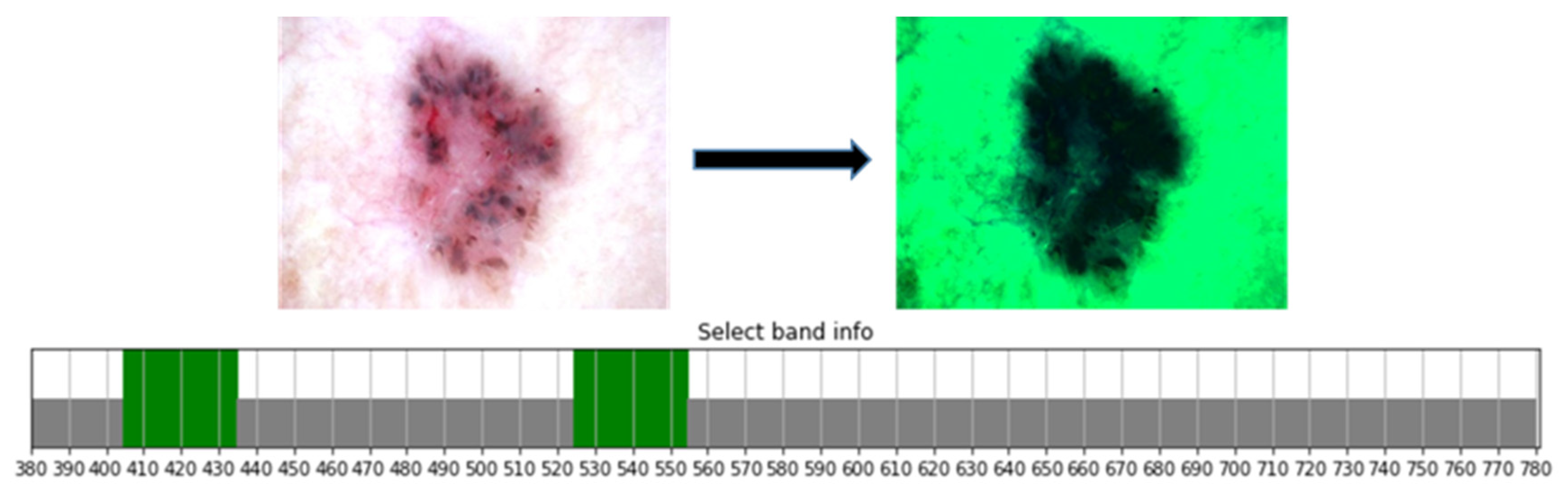 Jcm 12 01134 g006 Jcm 12 01134 g006