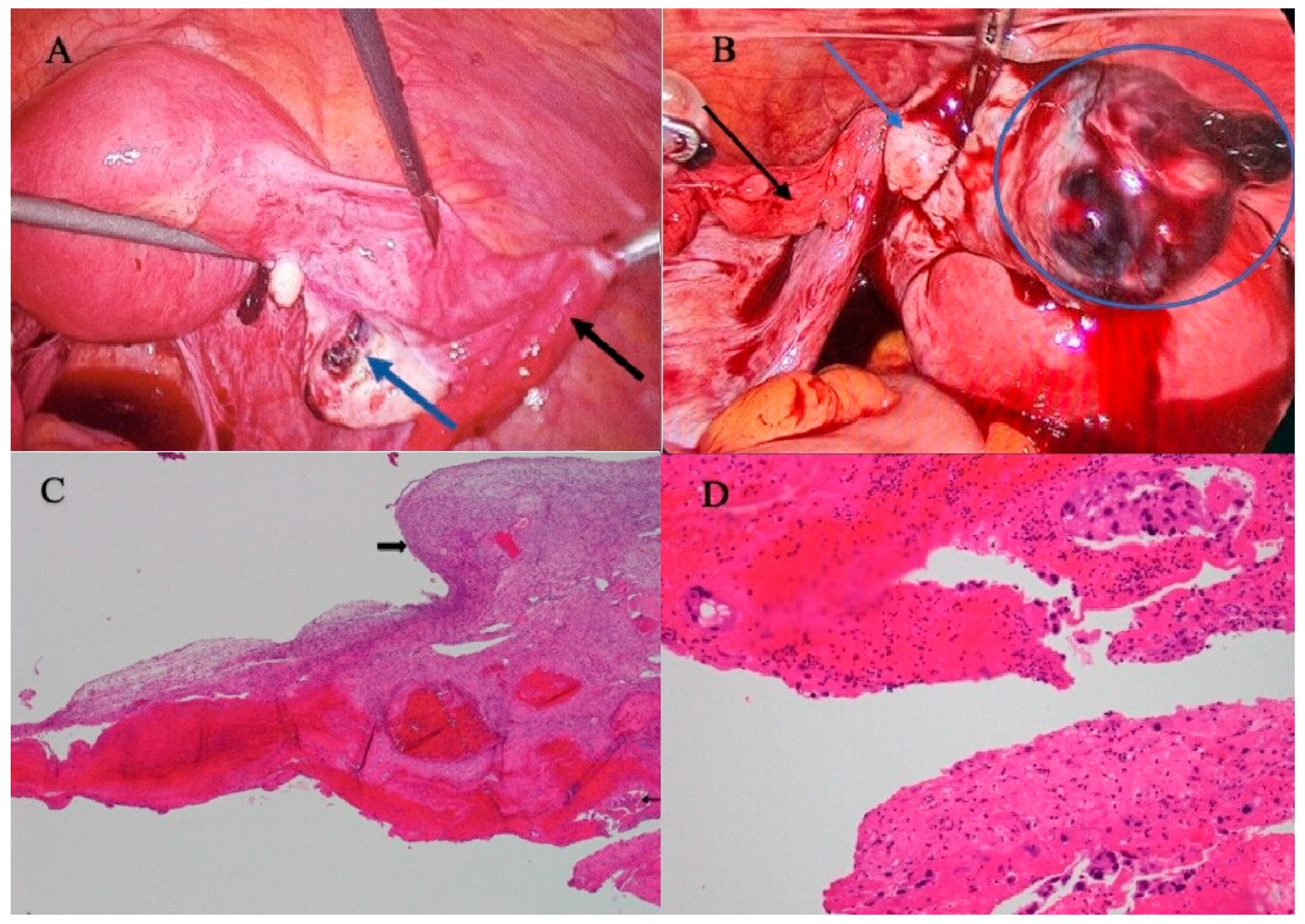 Jcm 12 01138 g002 Jcm 12 01138 g002