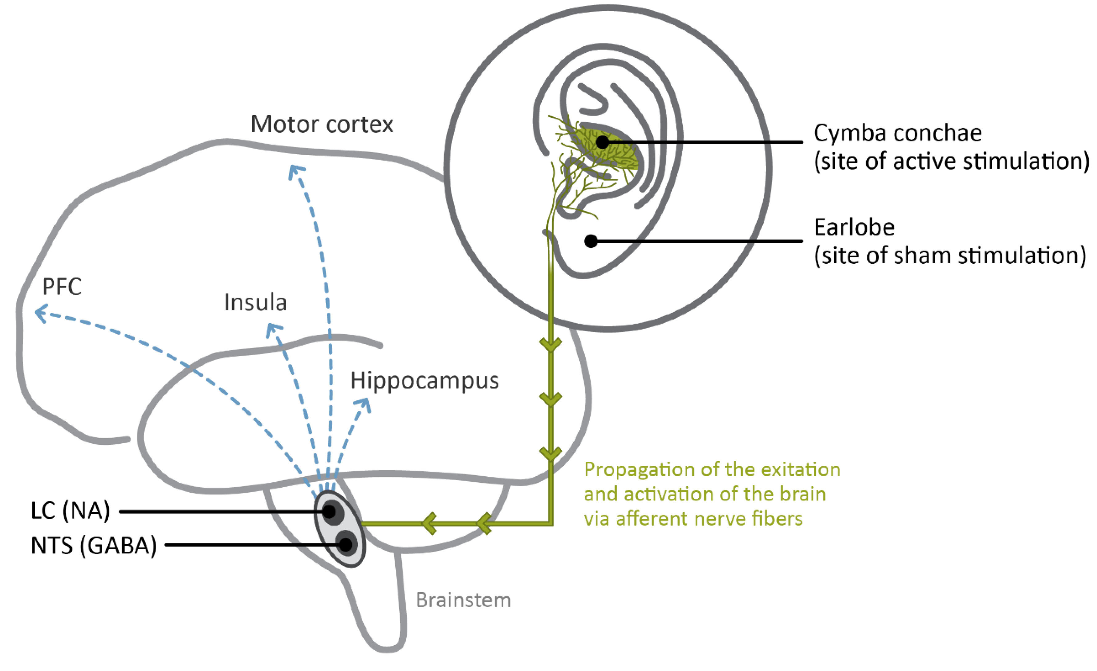A Prospect to Ameliorate Affective Symptoms and to Enhance Cognition in Long COVID Using