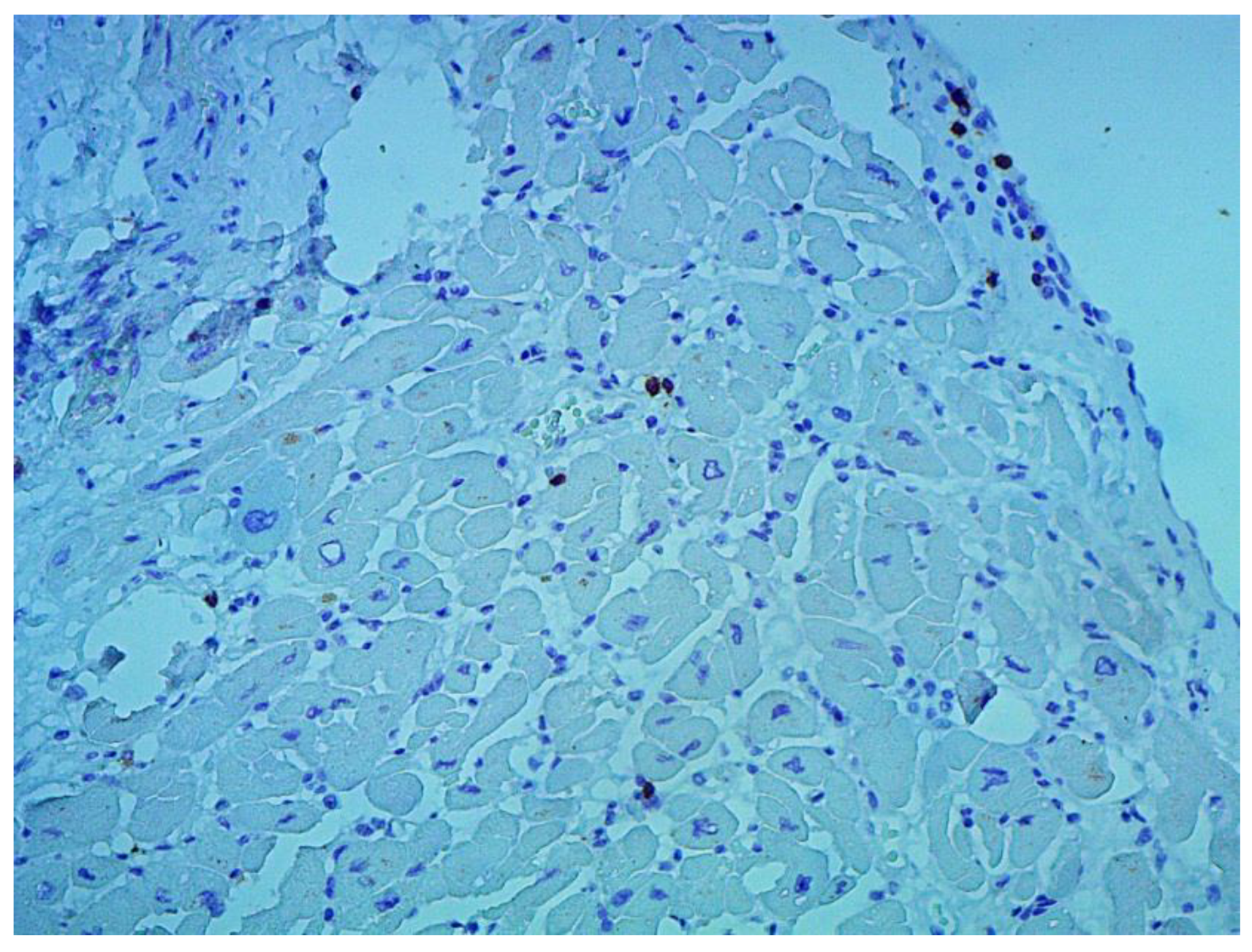 Jcm 12 01254 g004 550