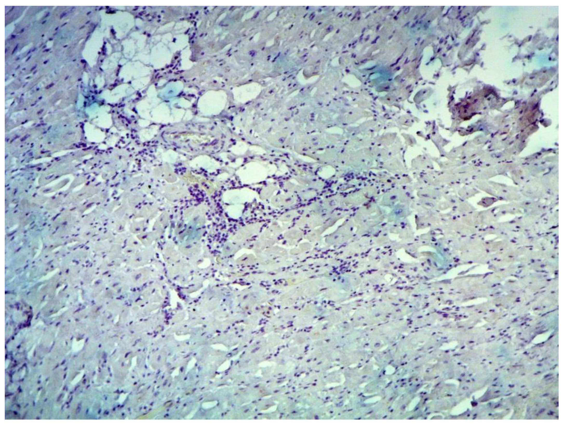 Jcm 12 01254 g006 550