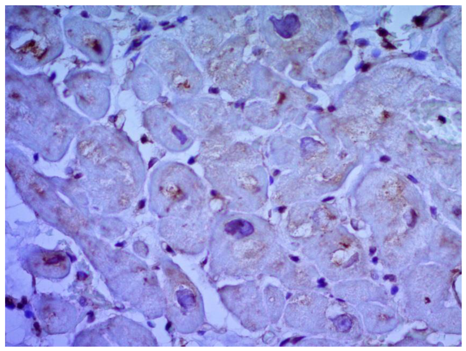 Jcm 12 01254 g007 550