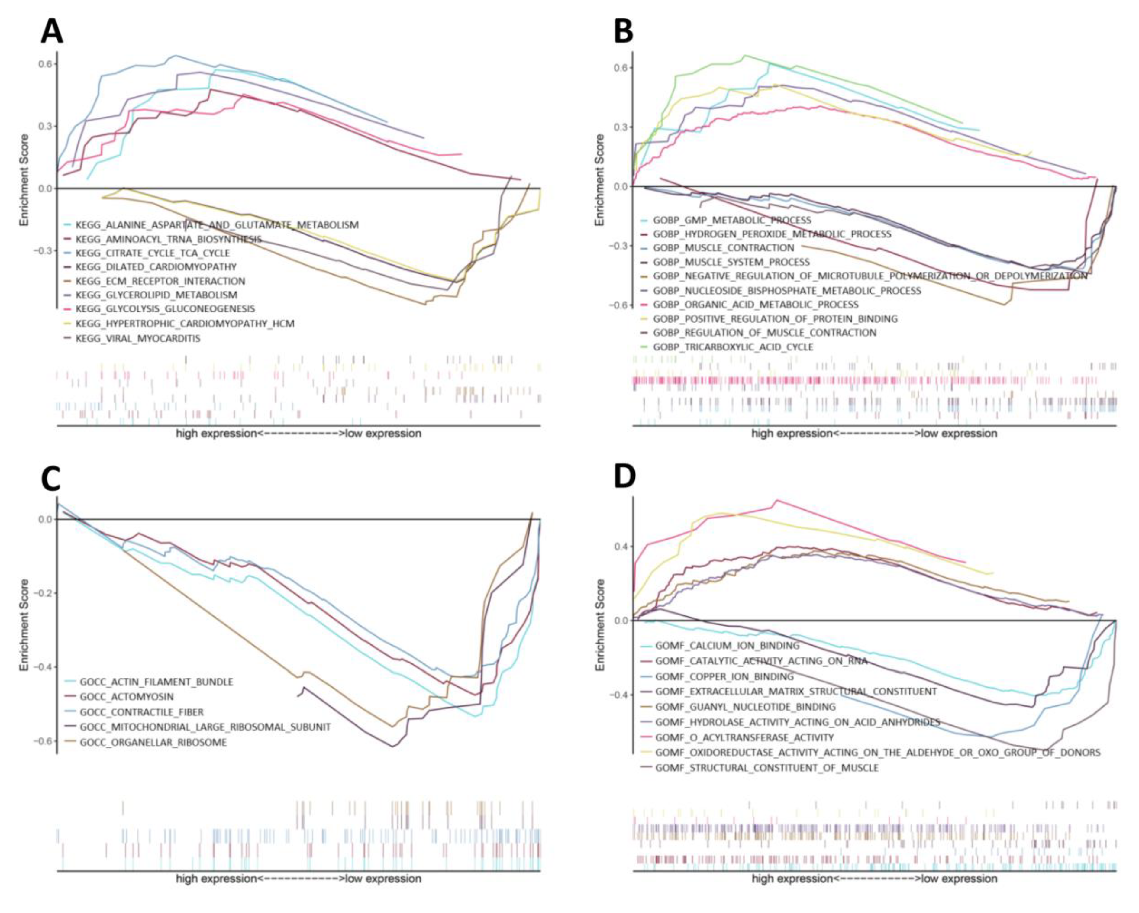 Jcm 12 01270 g002 Jcm 12 01270 g002