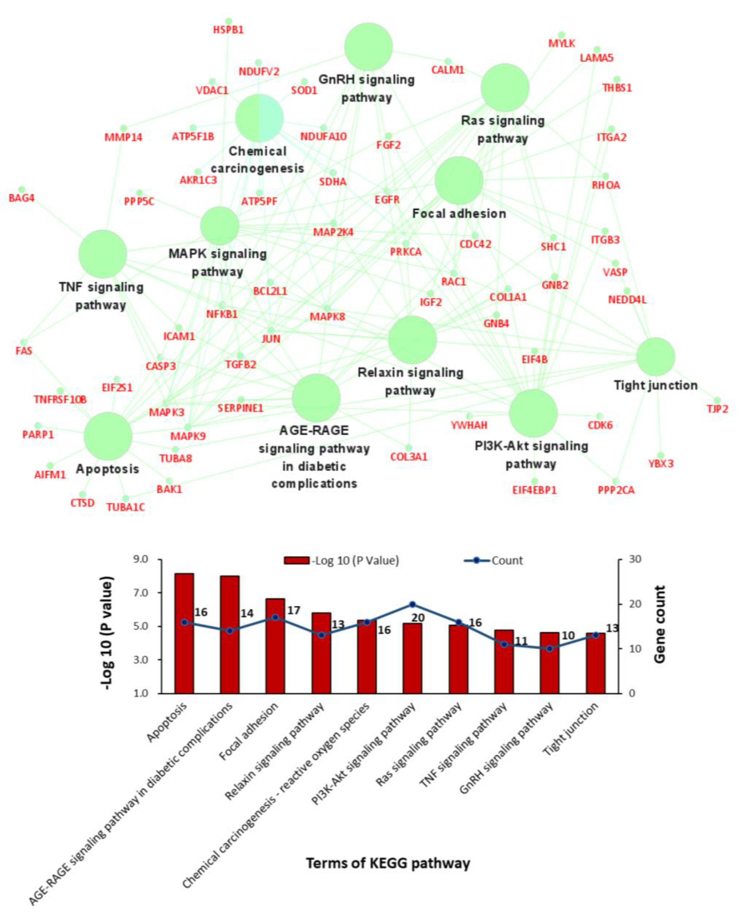 Jcm 12 01270 g004 Jcm 12 01270 g004
