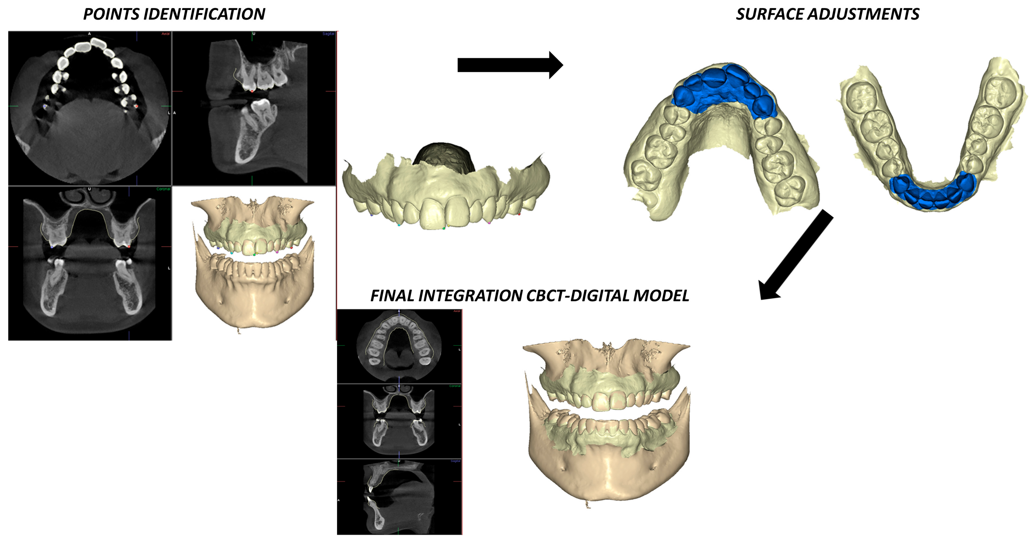 Jcm 12 01383 g003 Jcm 12 01383 g003
