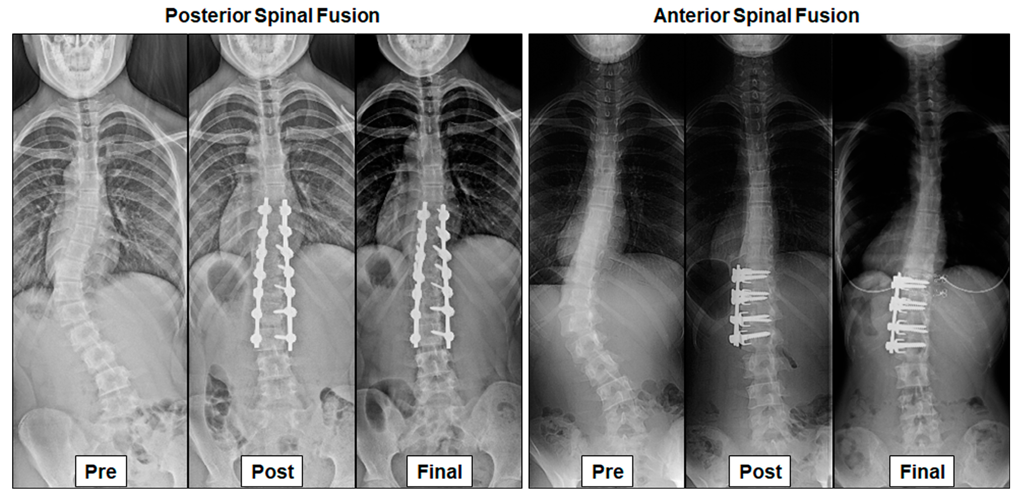 Jcm 12 01389 g001 550