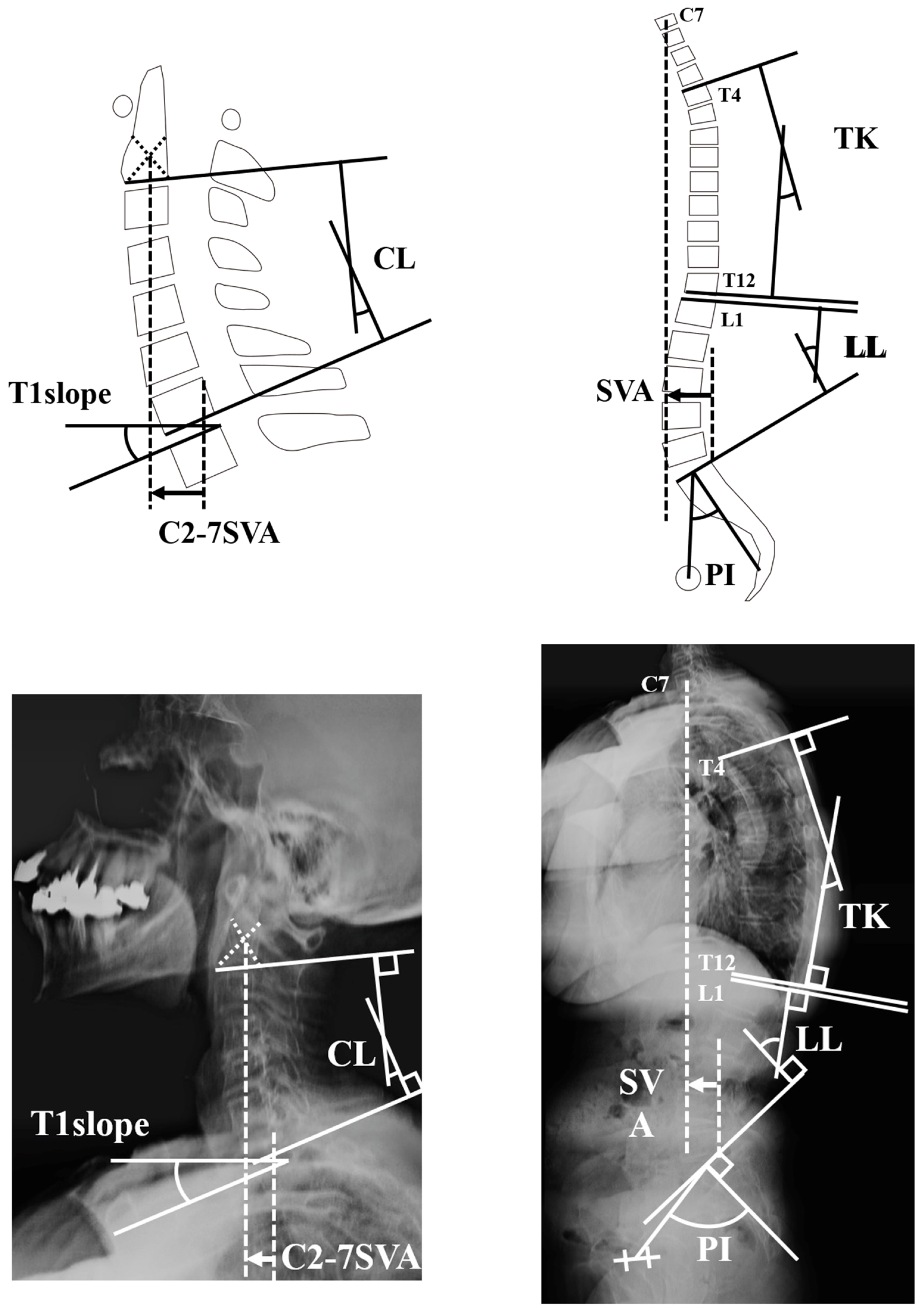 Jcm 12 01393 g001 550