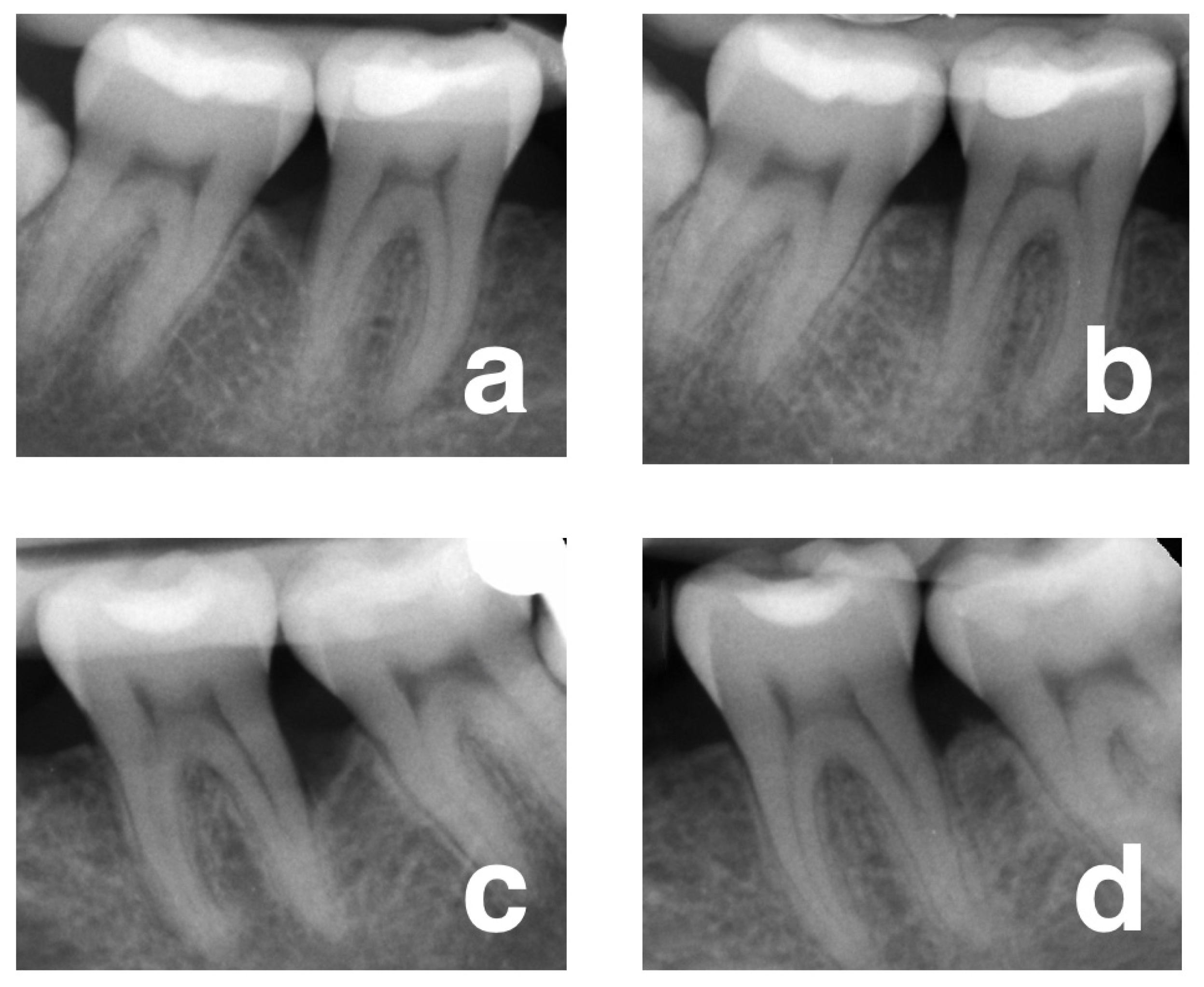 Jcm 12 01396 g003 550