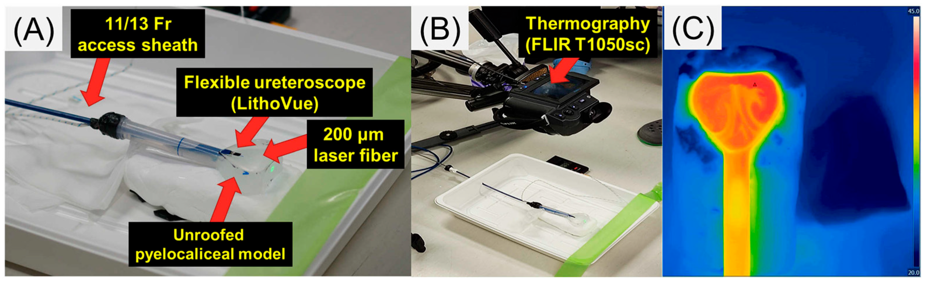 Jcm 12 01409 g001 550