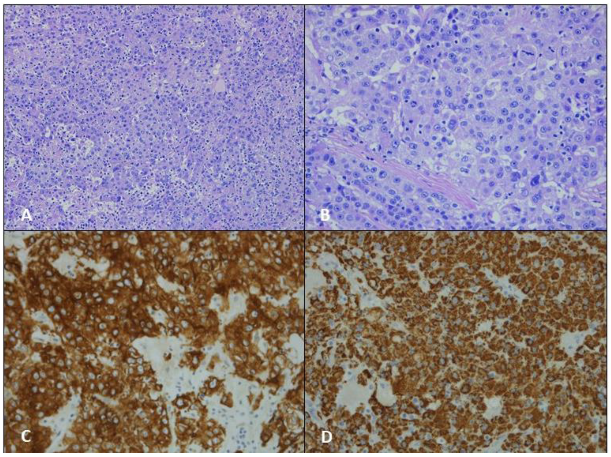 Jcm 12 01411 g002 Jcm 12 01411 g002