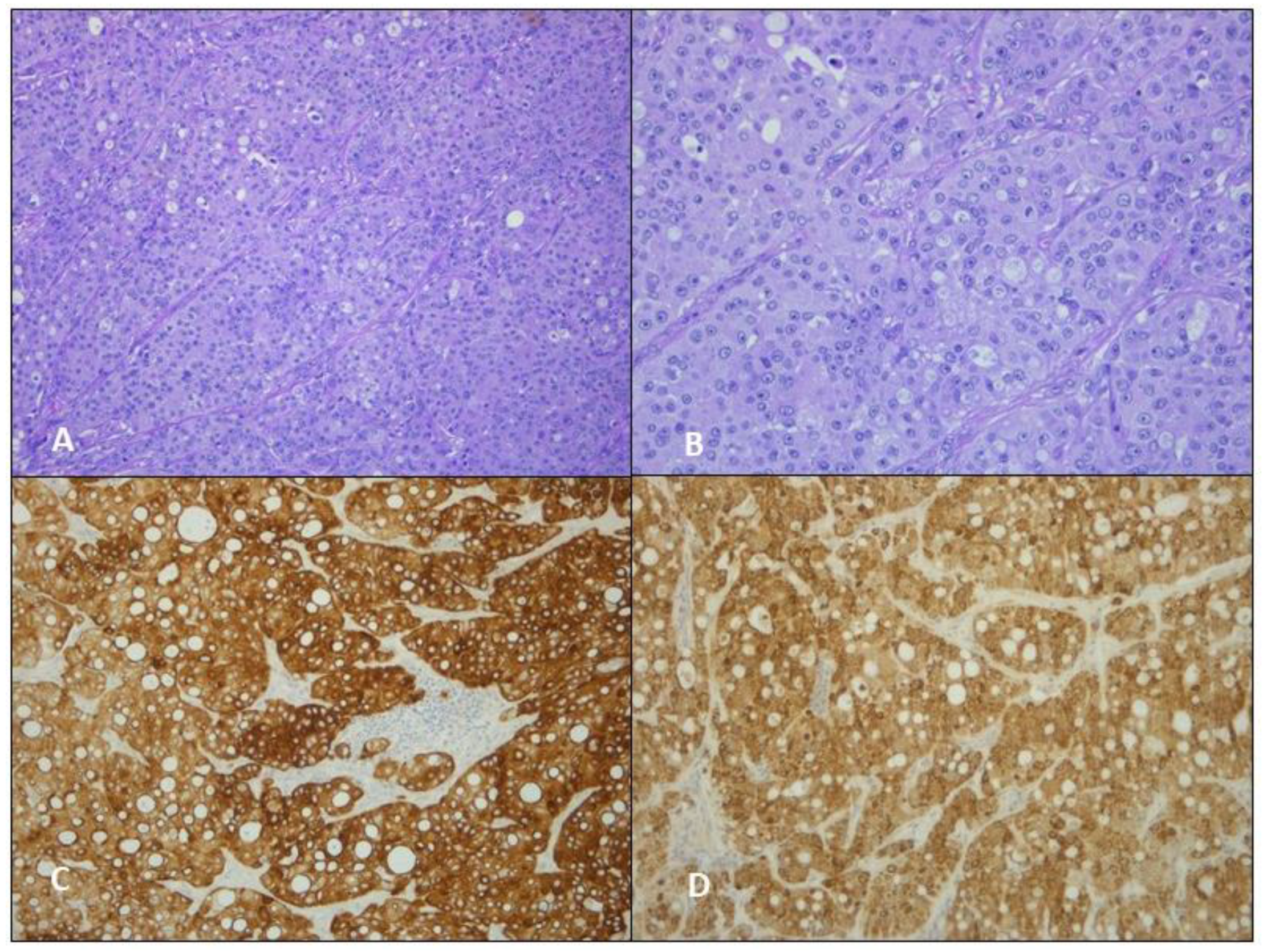 Jcm 12 01411 g004 Jcm 12 01411 g004