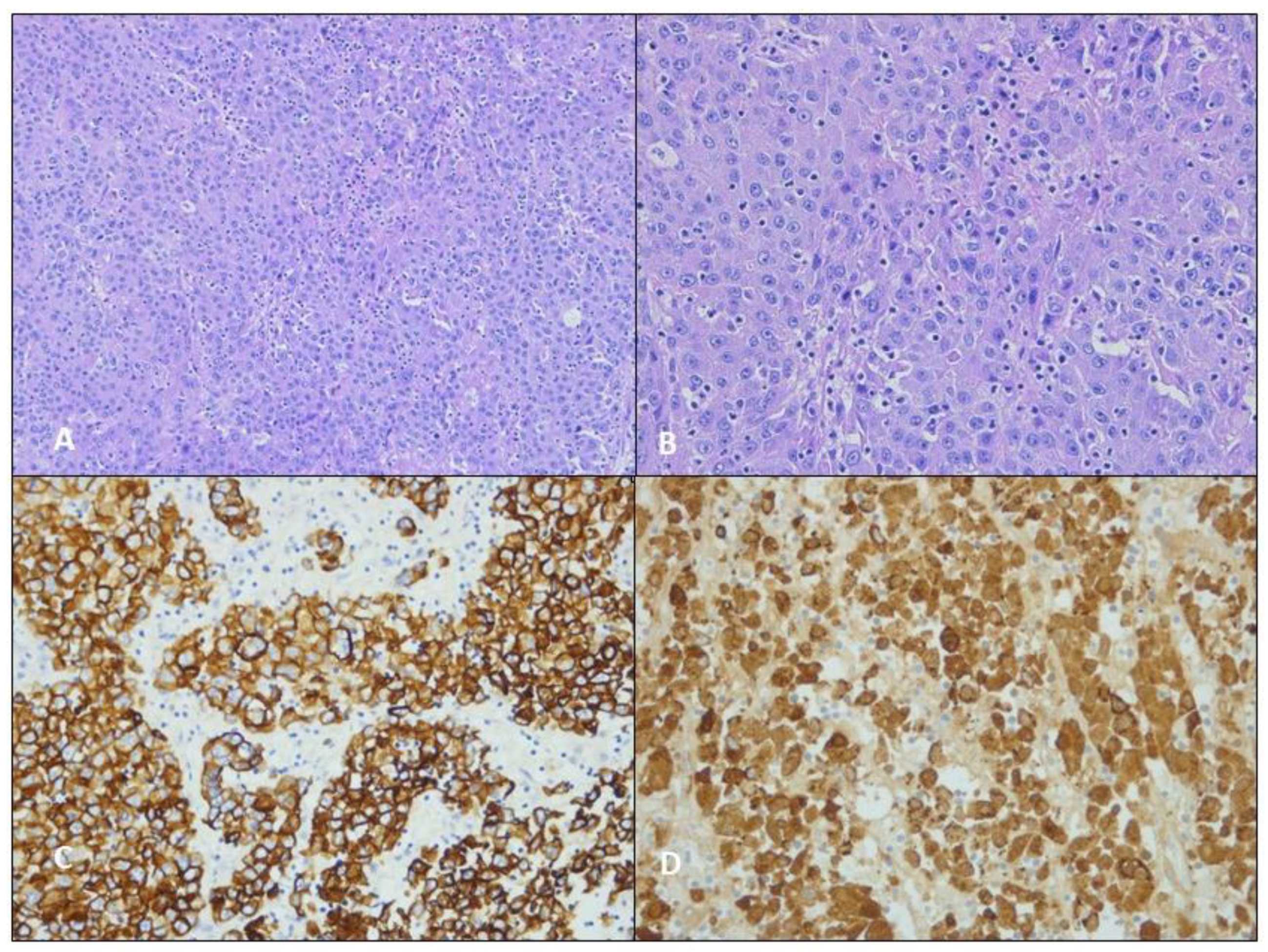 Jcm 12 01411 g006 Jcm 12 01411 g006