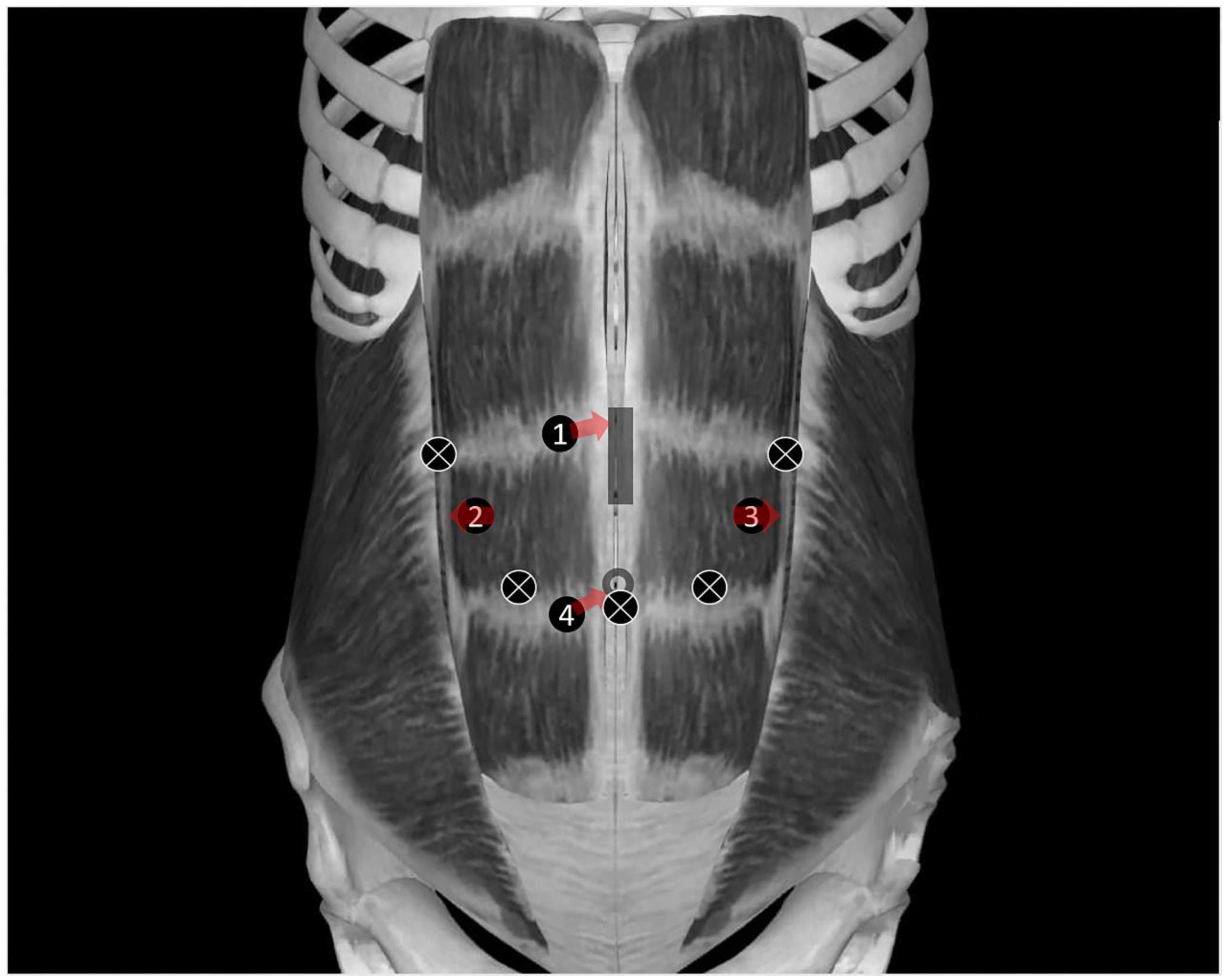Jcm 12 01414 g002 Jcm 12 01414 g002