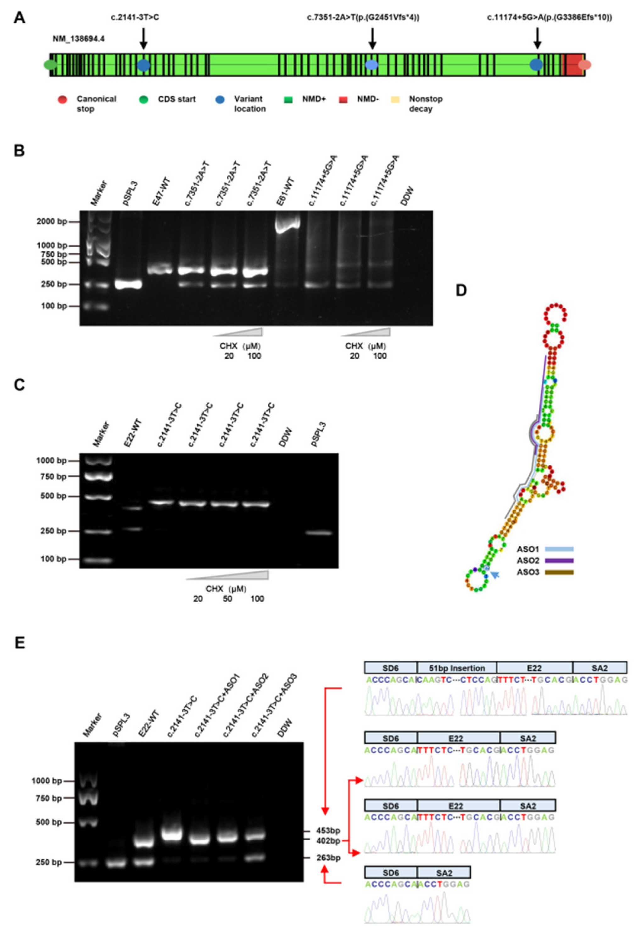 Jcm 12 01428 g002 Jcm 12 01428 g002