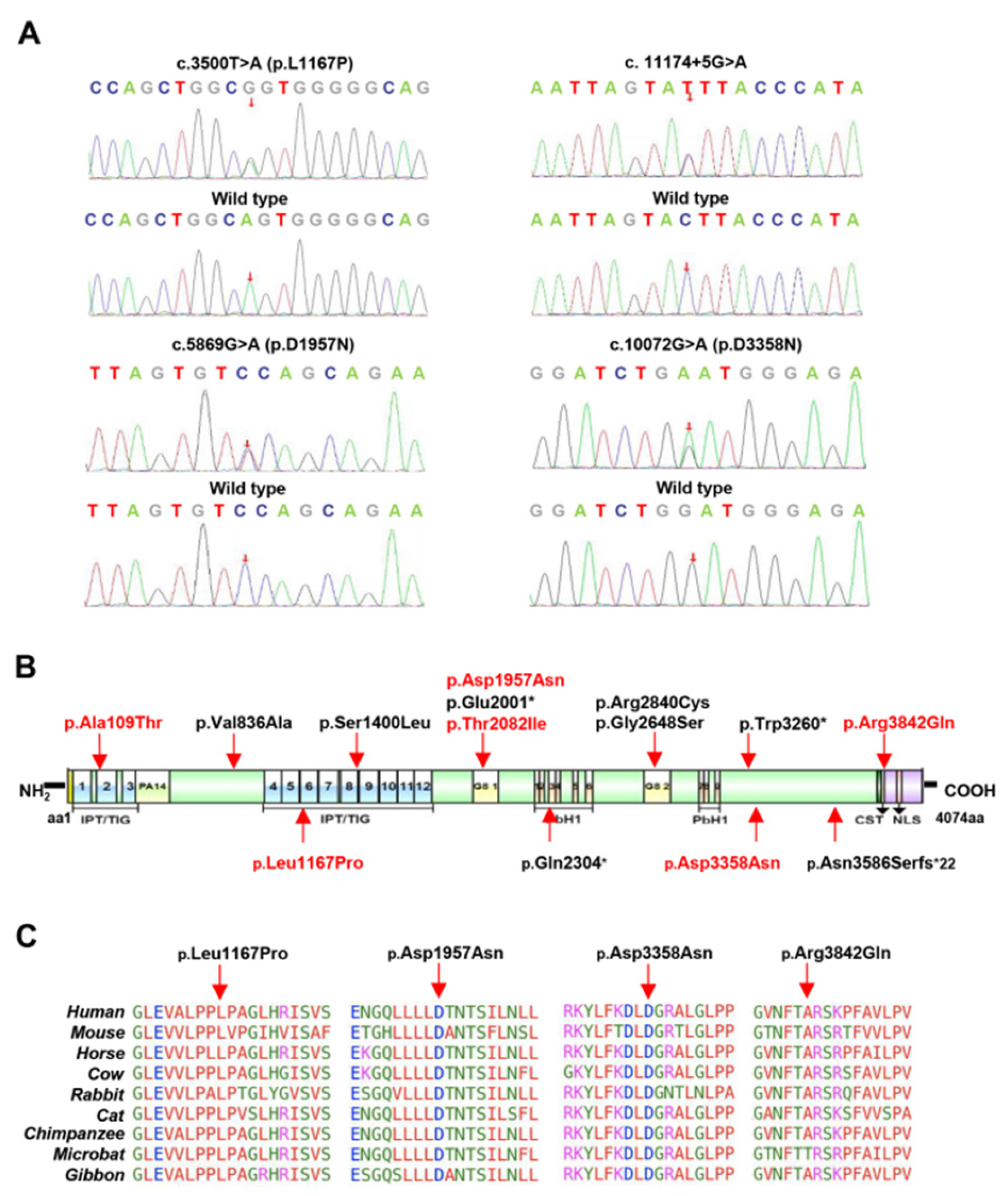 Jcm 12 01428 g003 Jcm 12 01428 g003