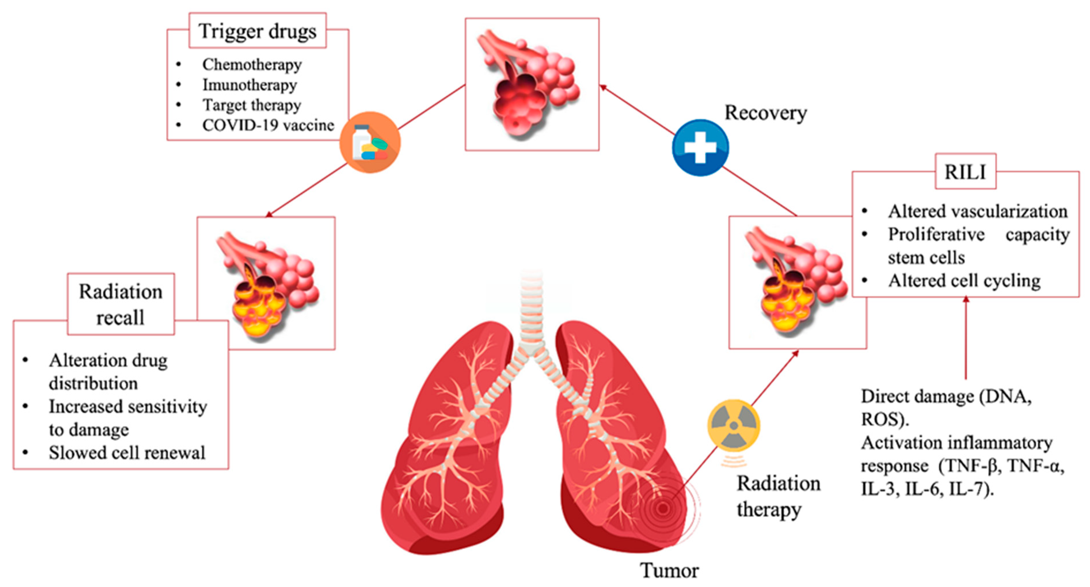 Jcm 12 01442 g001 Jcm 12 01442 g001