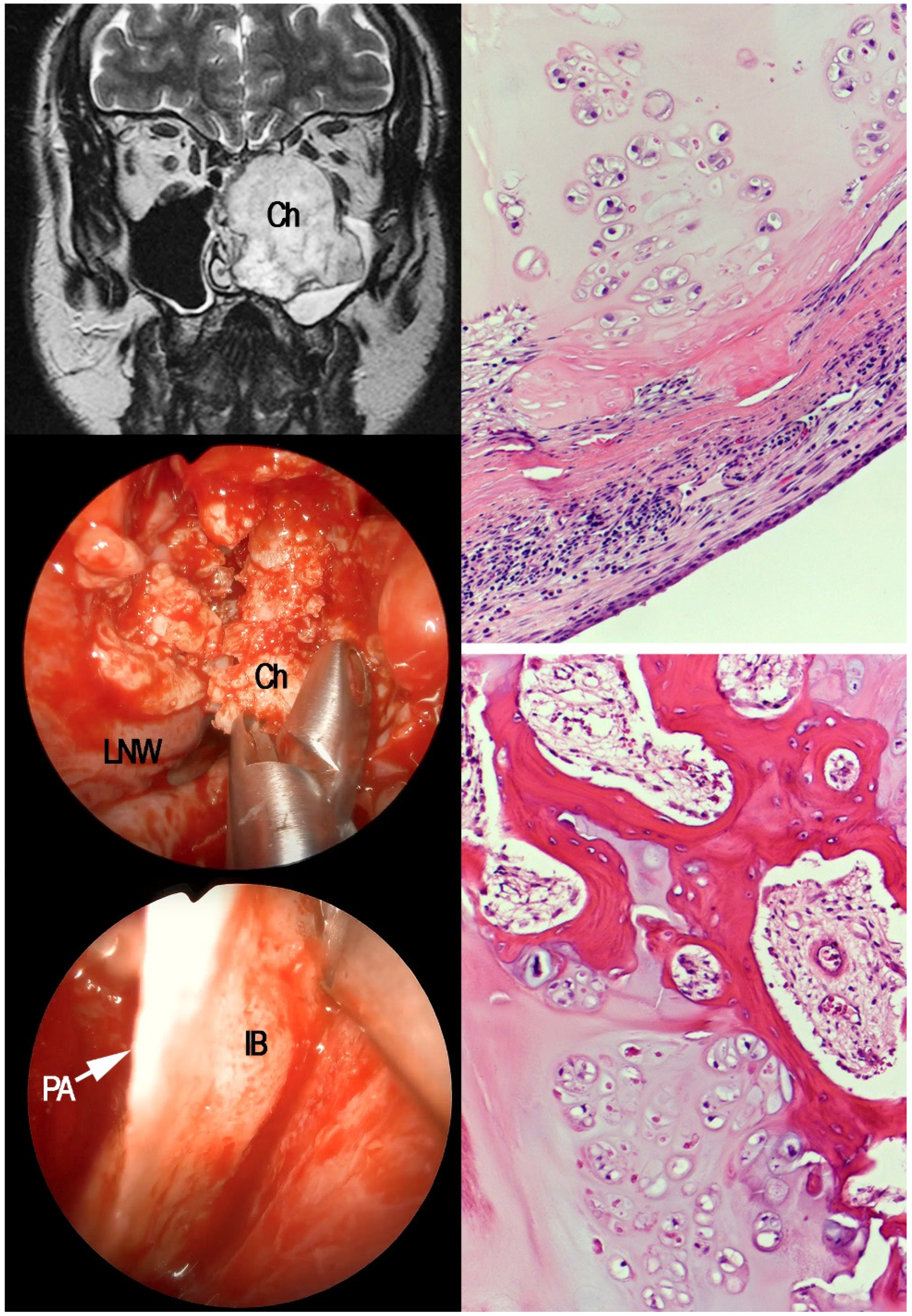 Jcm 12 01492 g001 550