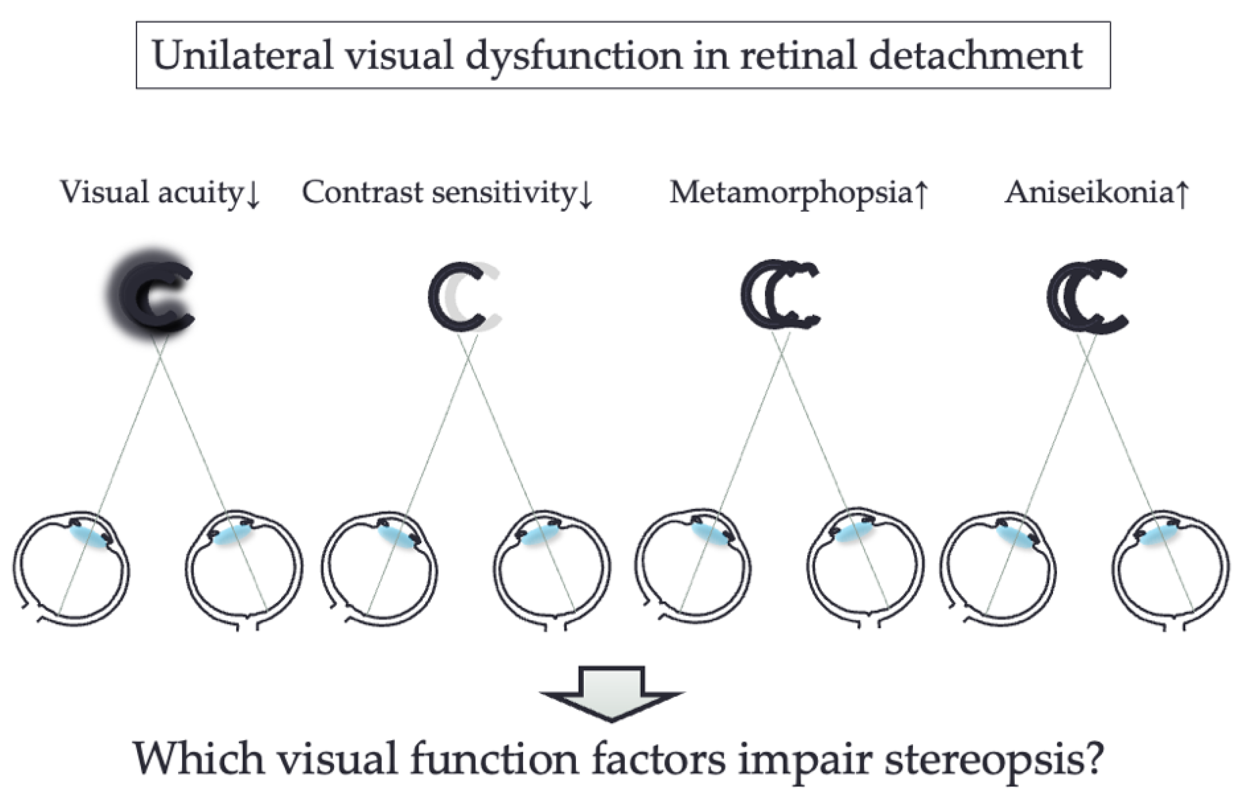 Jcm 12 01527 g001 Jcm 12 01527 g001