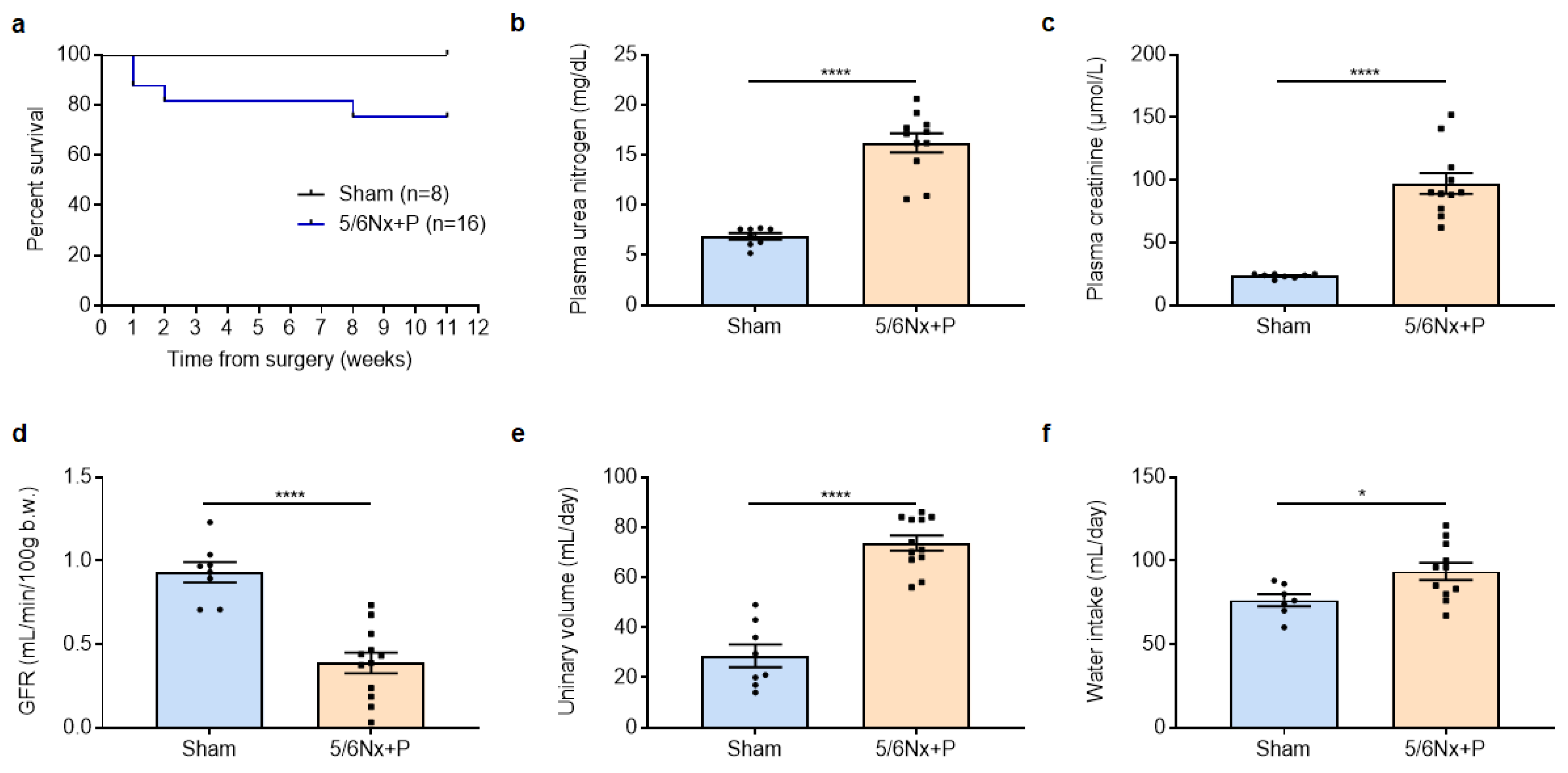 Jcm 12 01539 g001 Jcm 12 01539 g001
