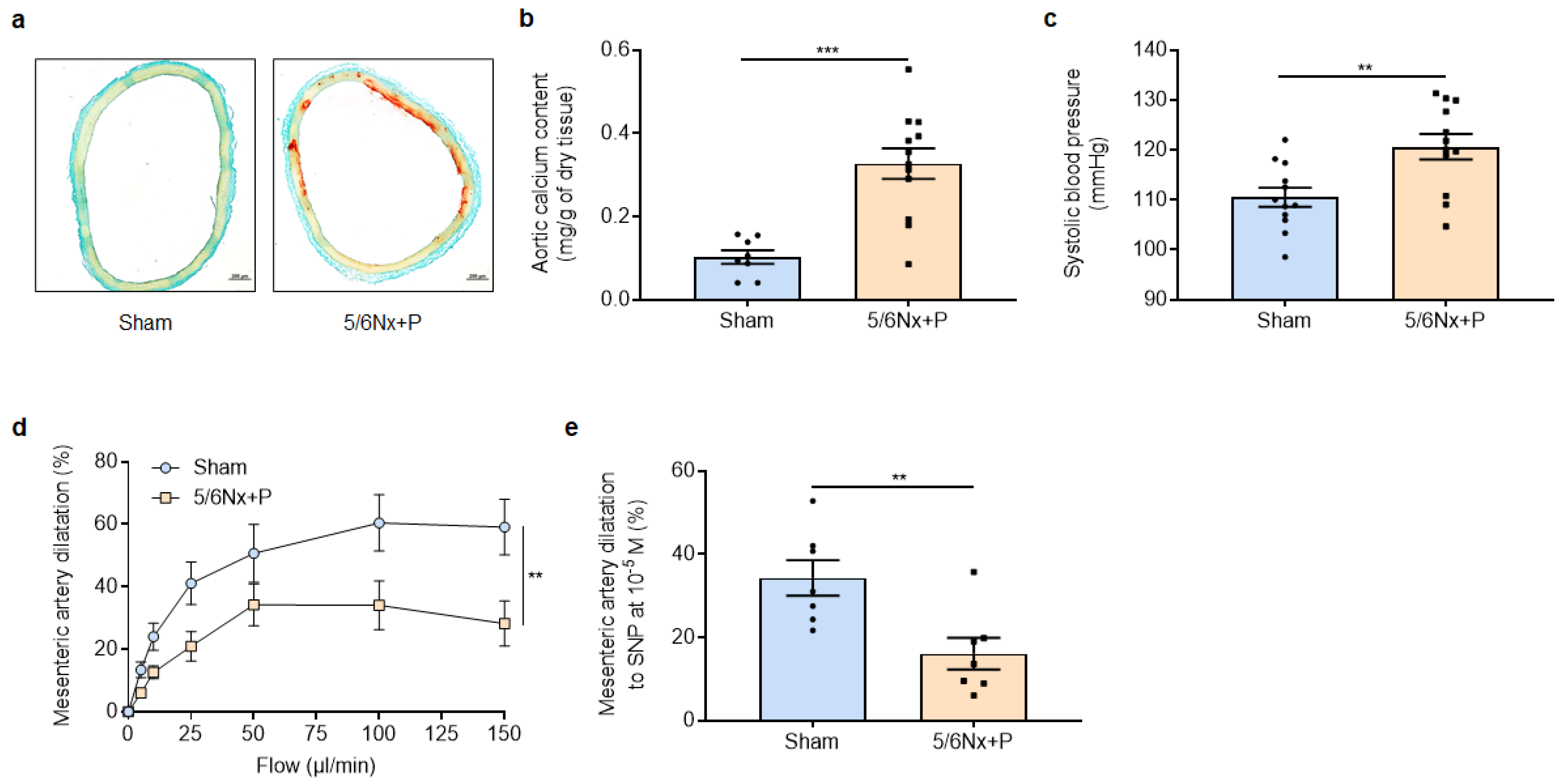 Jcm 12 01539 g002 Jcm 12 01539 g002