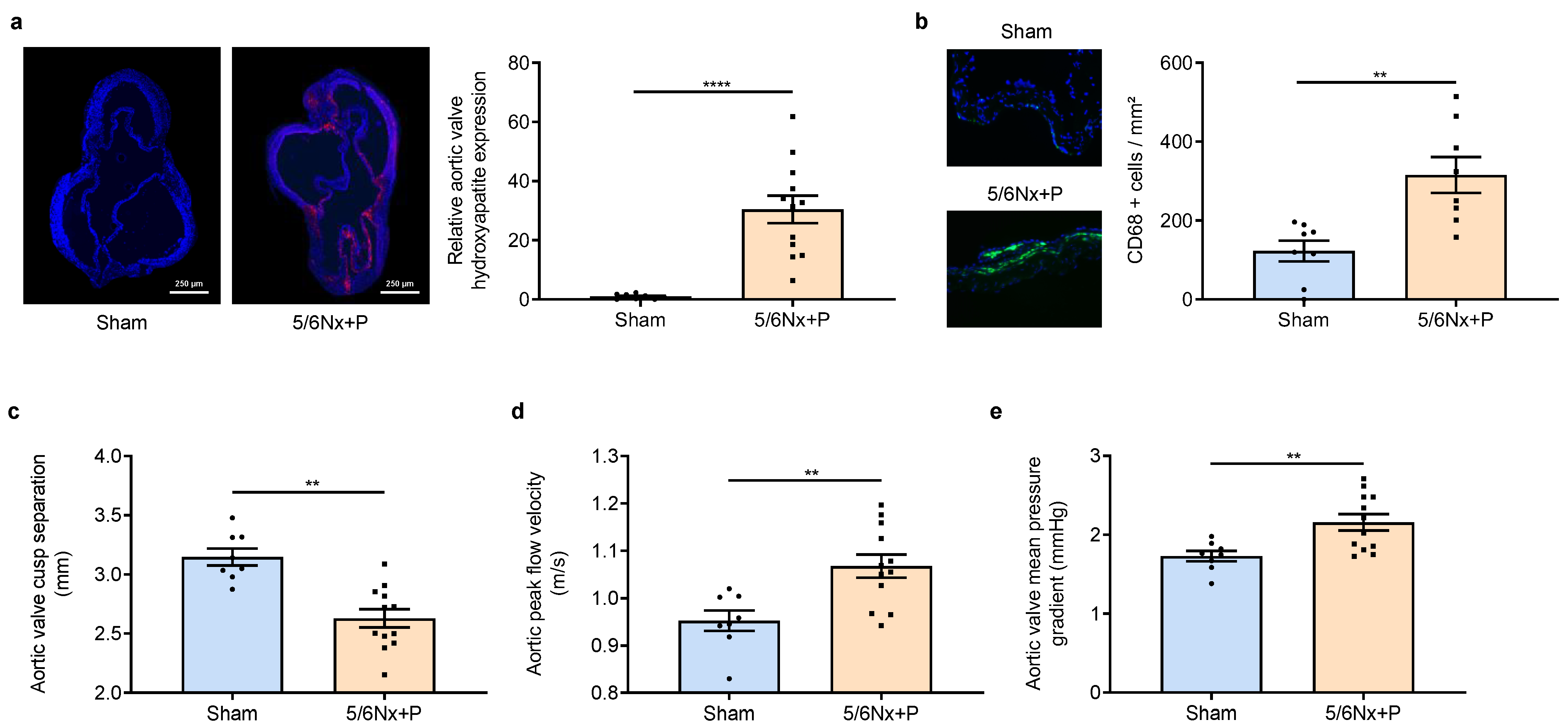 Jcm 12 01539 g003 Jcm 12 01539 g003