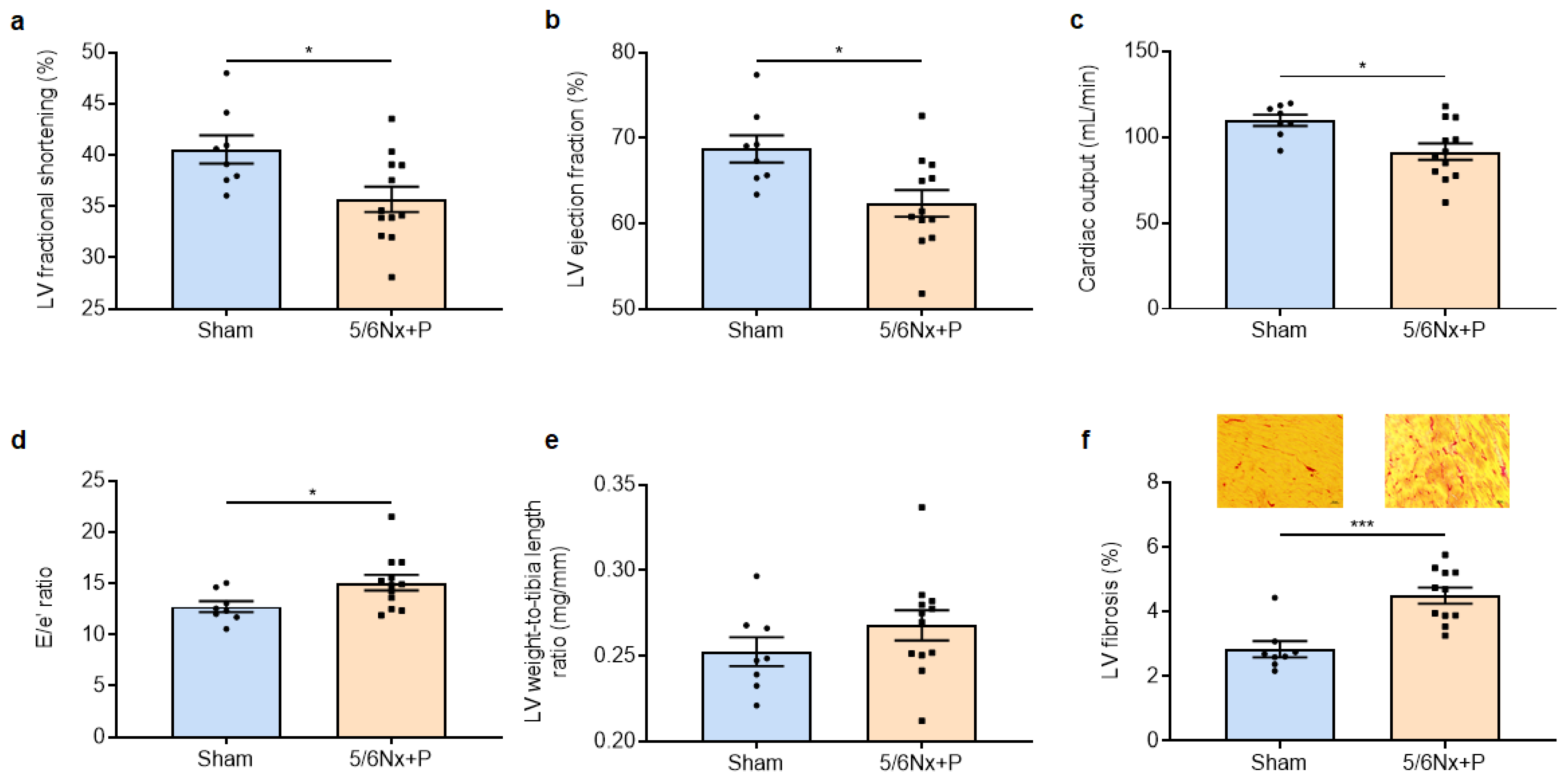 Jcm 12 01539 g004 Jcm 12 01539 g004