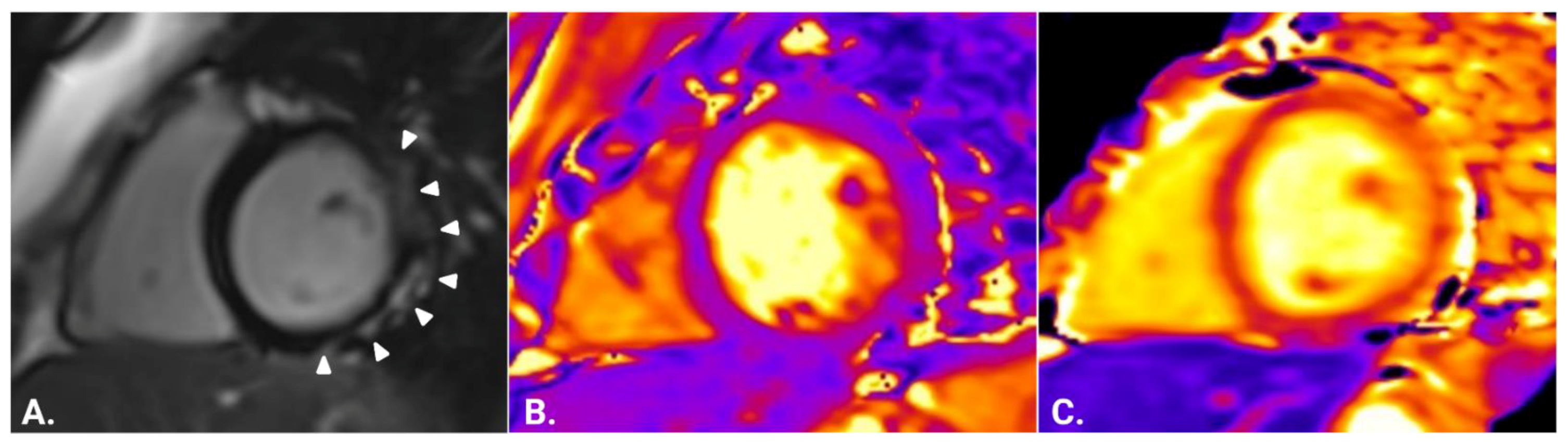 Jcm 12 01575 g004 Jcm 12 01575 g004