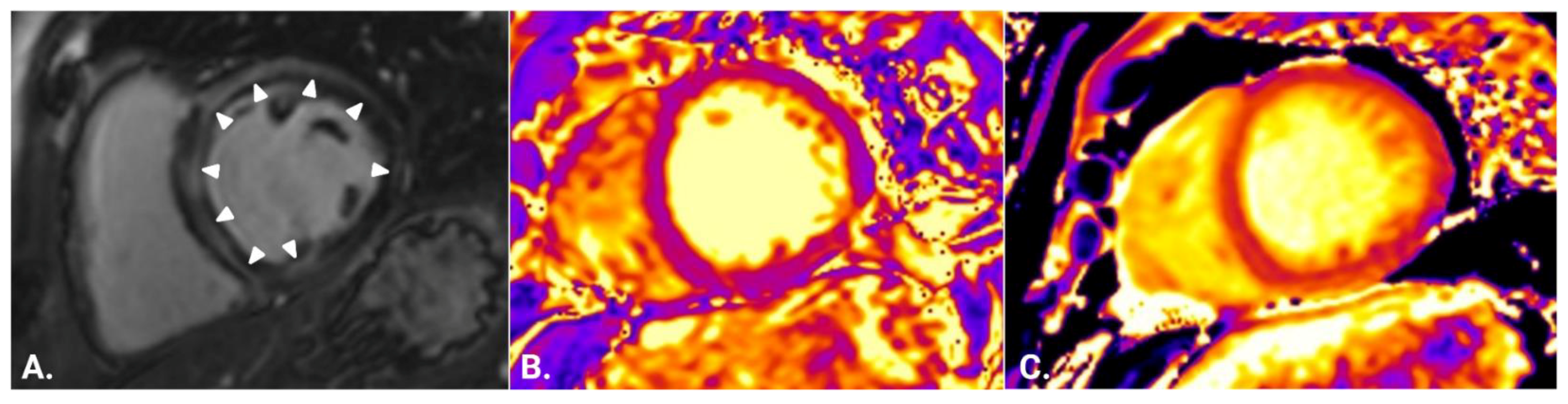 Jcm 12 01575 g005 Jcm 12 01575 g005