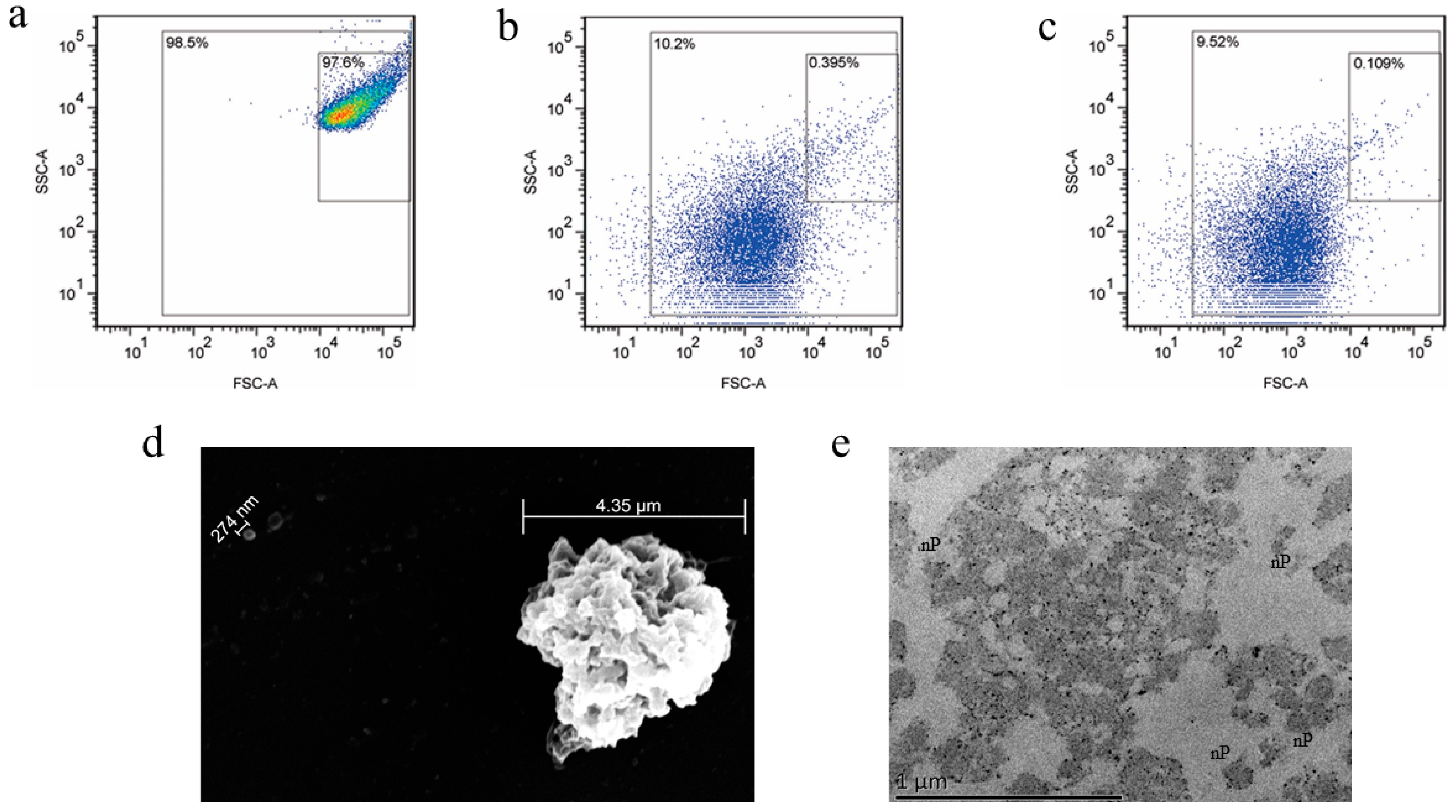 Jcm 12 01592 g001 Jcm 12 01592 g001
