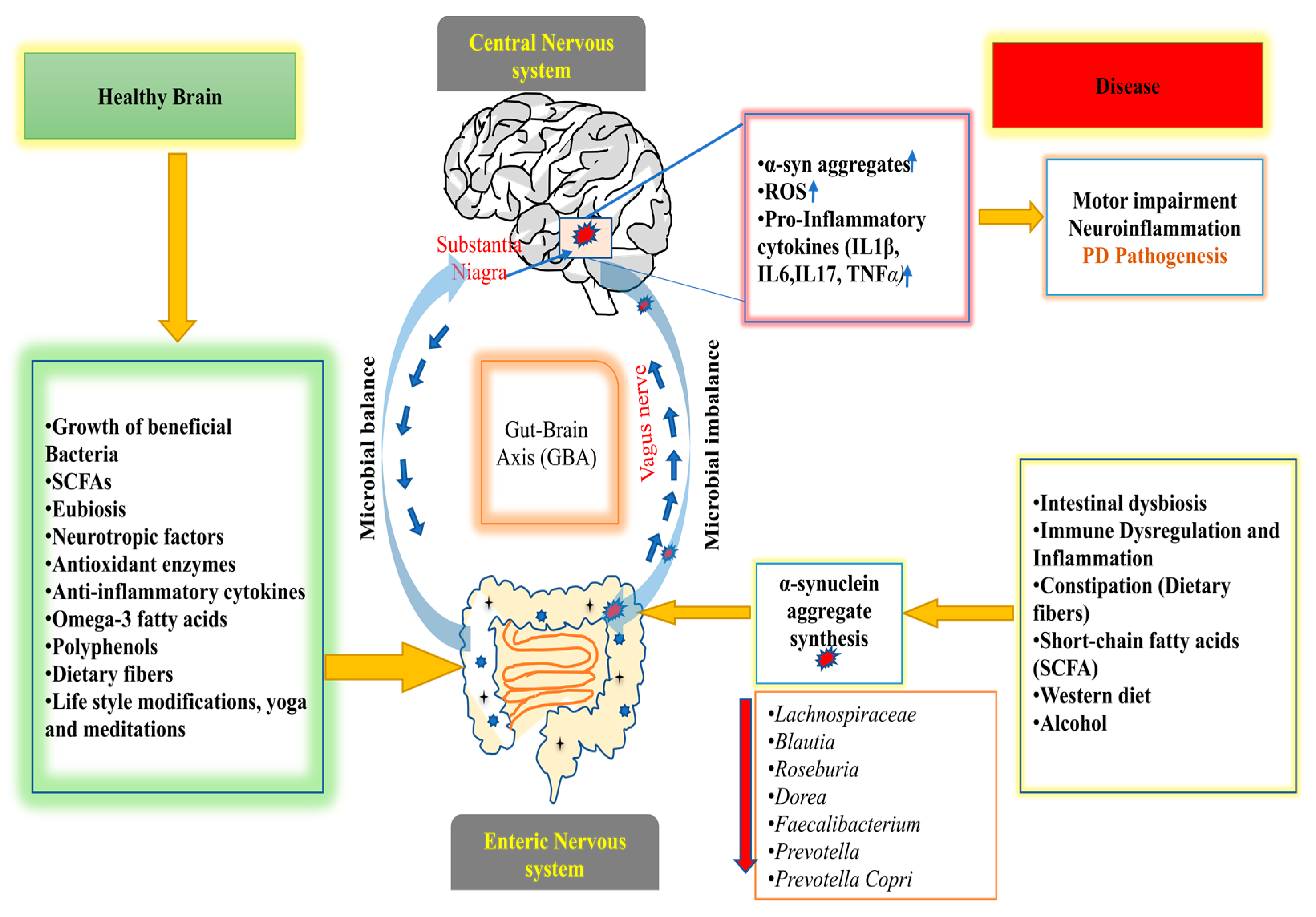 Jcm 12 01650 g001 Jcm 12 01650 g001