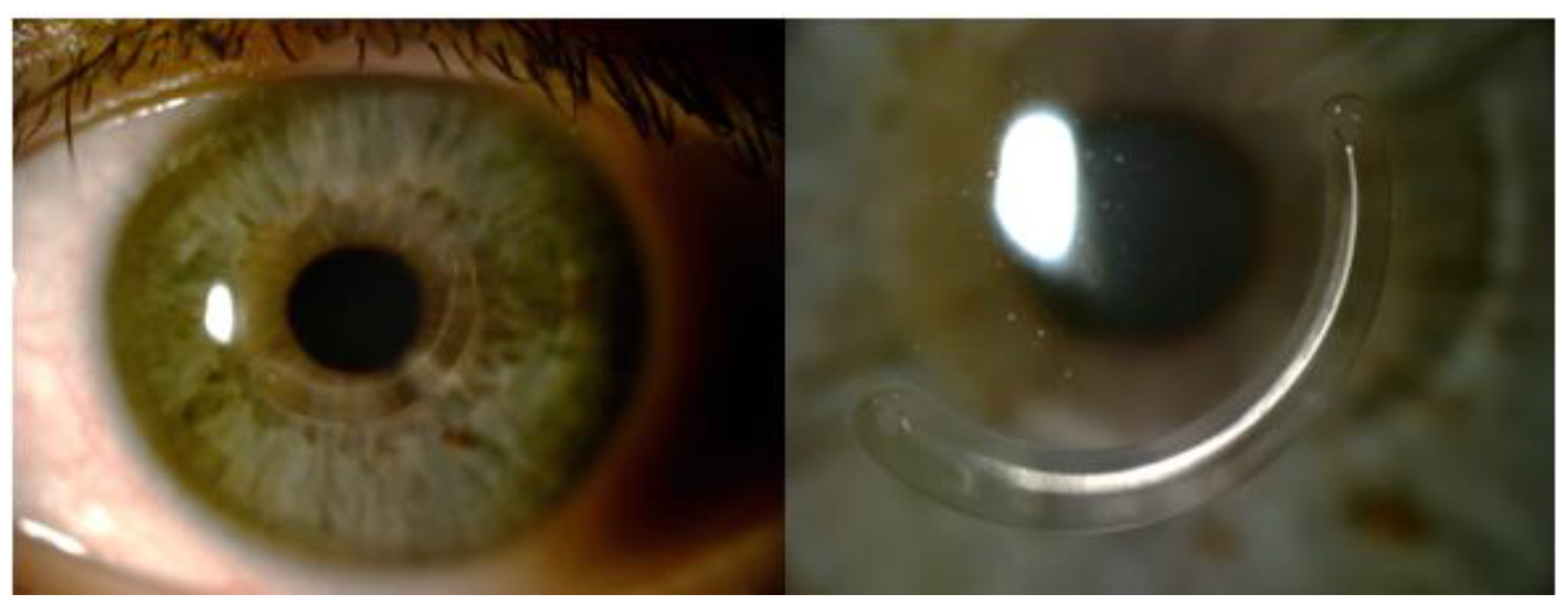 Jcm 12 01673 g001 Jcm 12 01673 g001