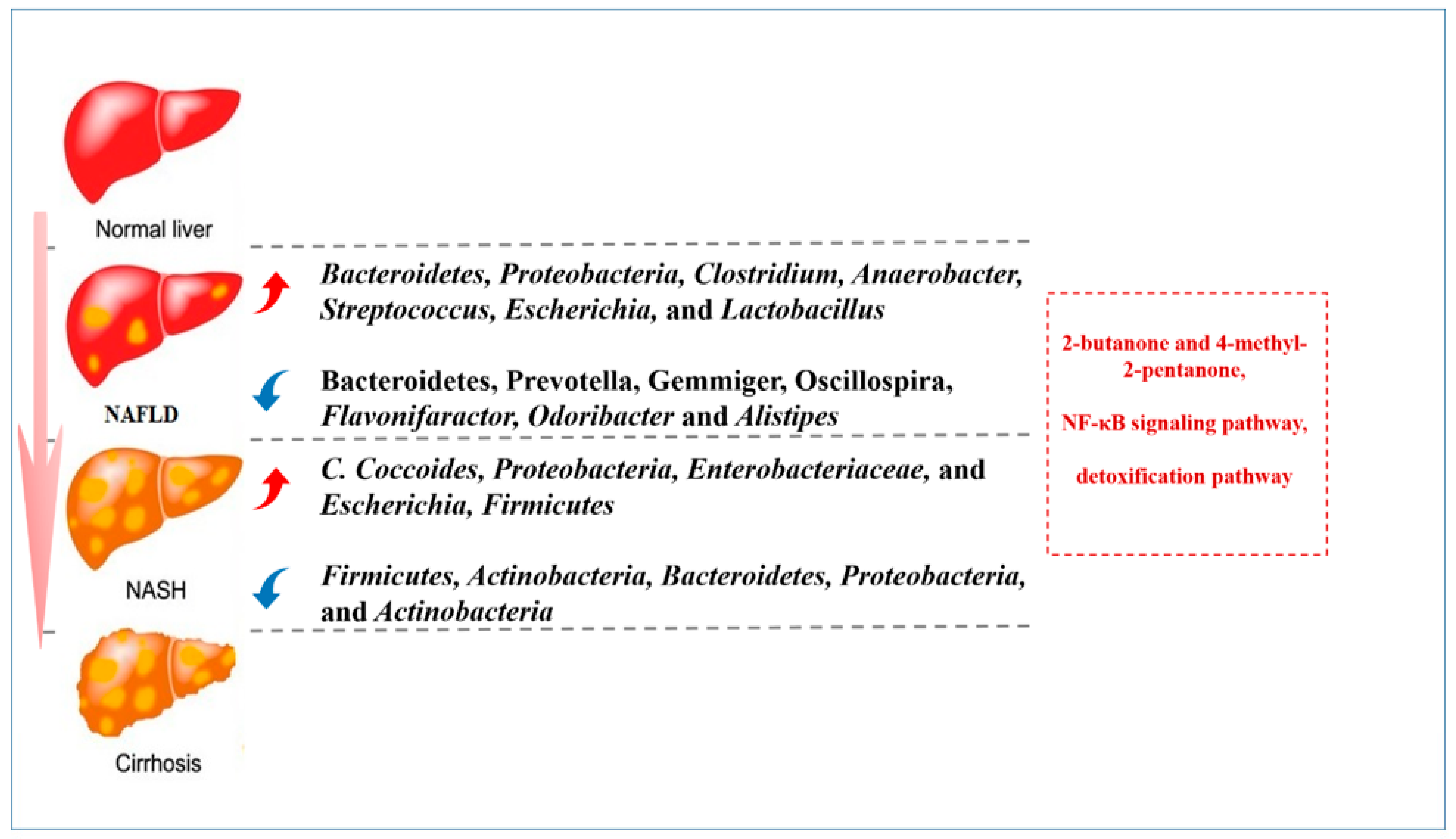 Jcm 12 01683 g003 Jcm 12 01683 g003