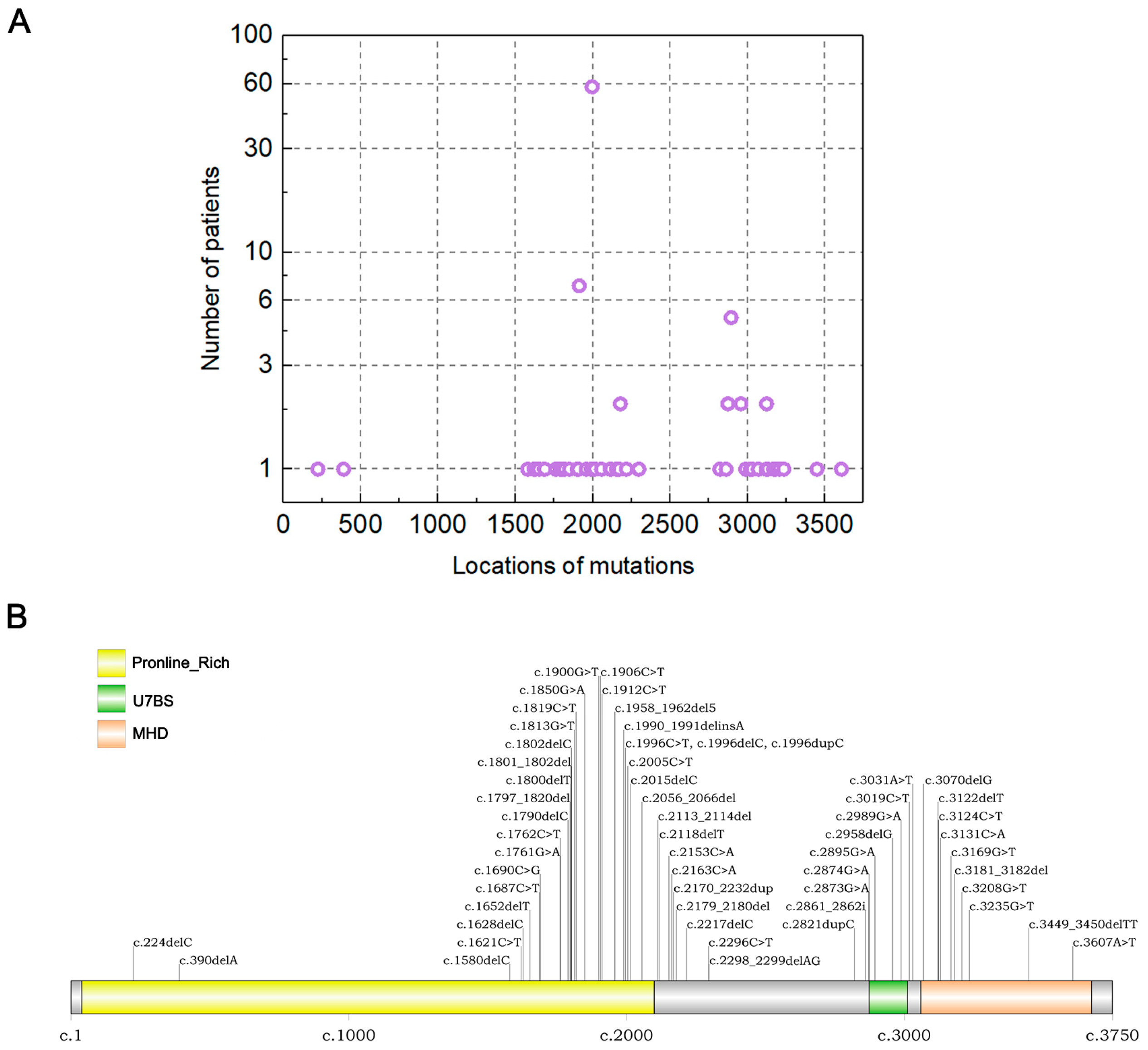 Jcm 12 01688 g004 Jcm 12 01688 g004